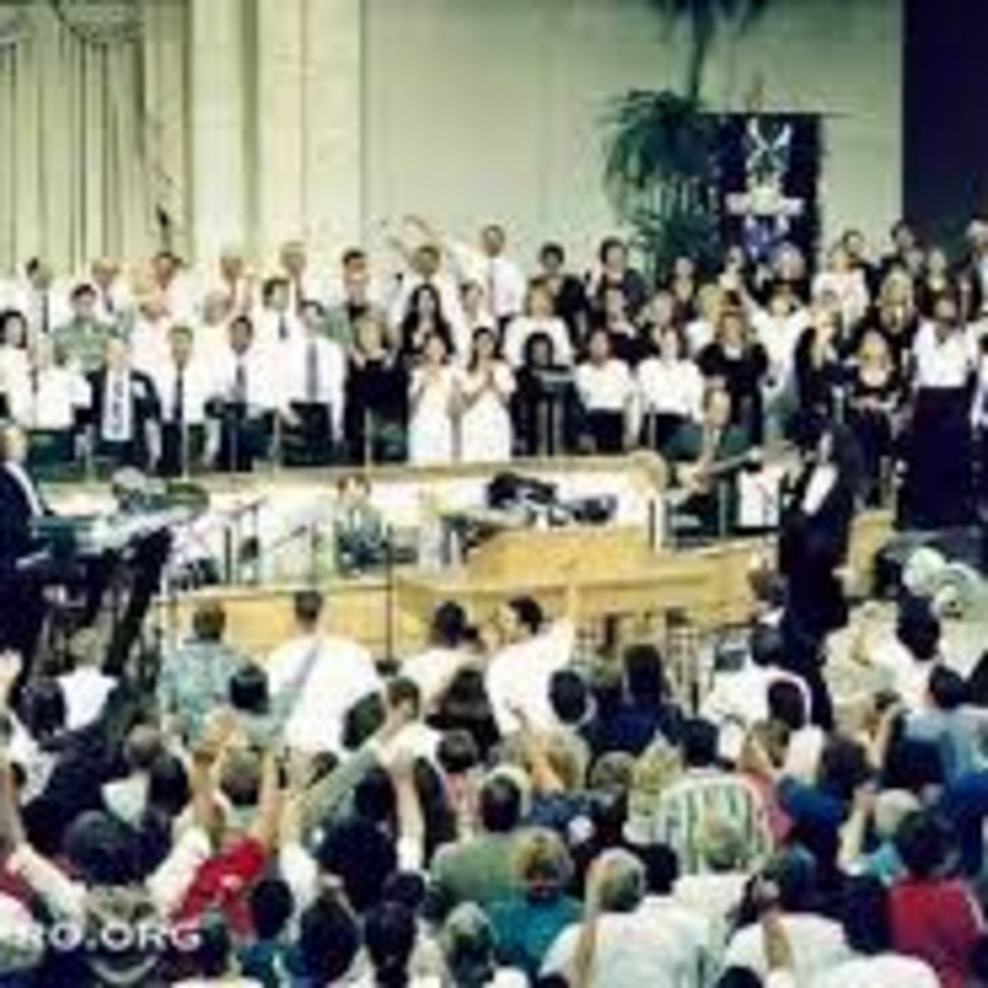 The Aussie Berean