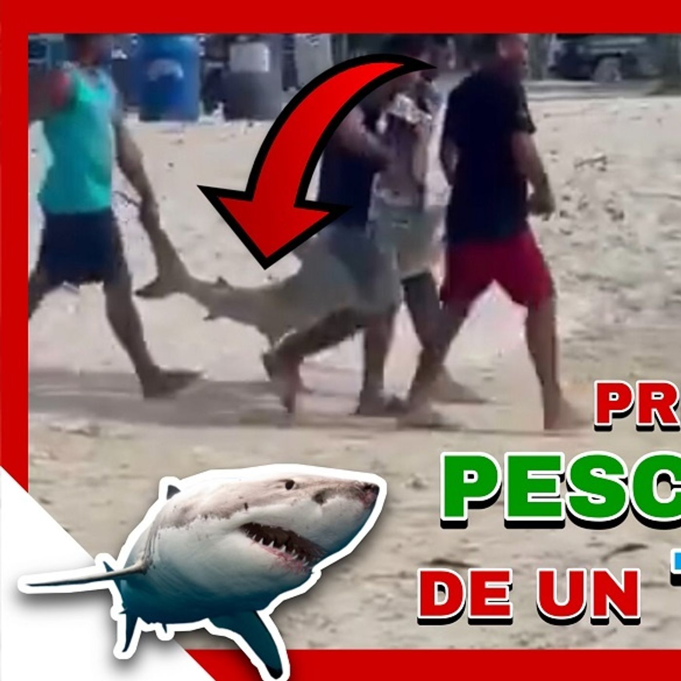 APRESAN HOMBRE POR PESCA 🎣 ILEGAL DE UN TIBURÓN 🦈 episode artwork