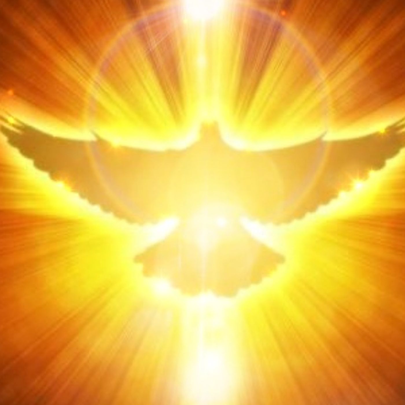 Meditazioni guidate ✨ La Porta della Luce