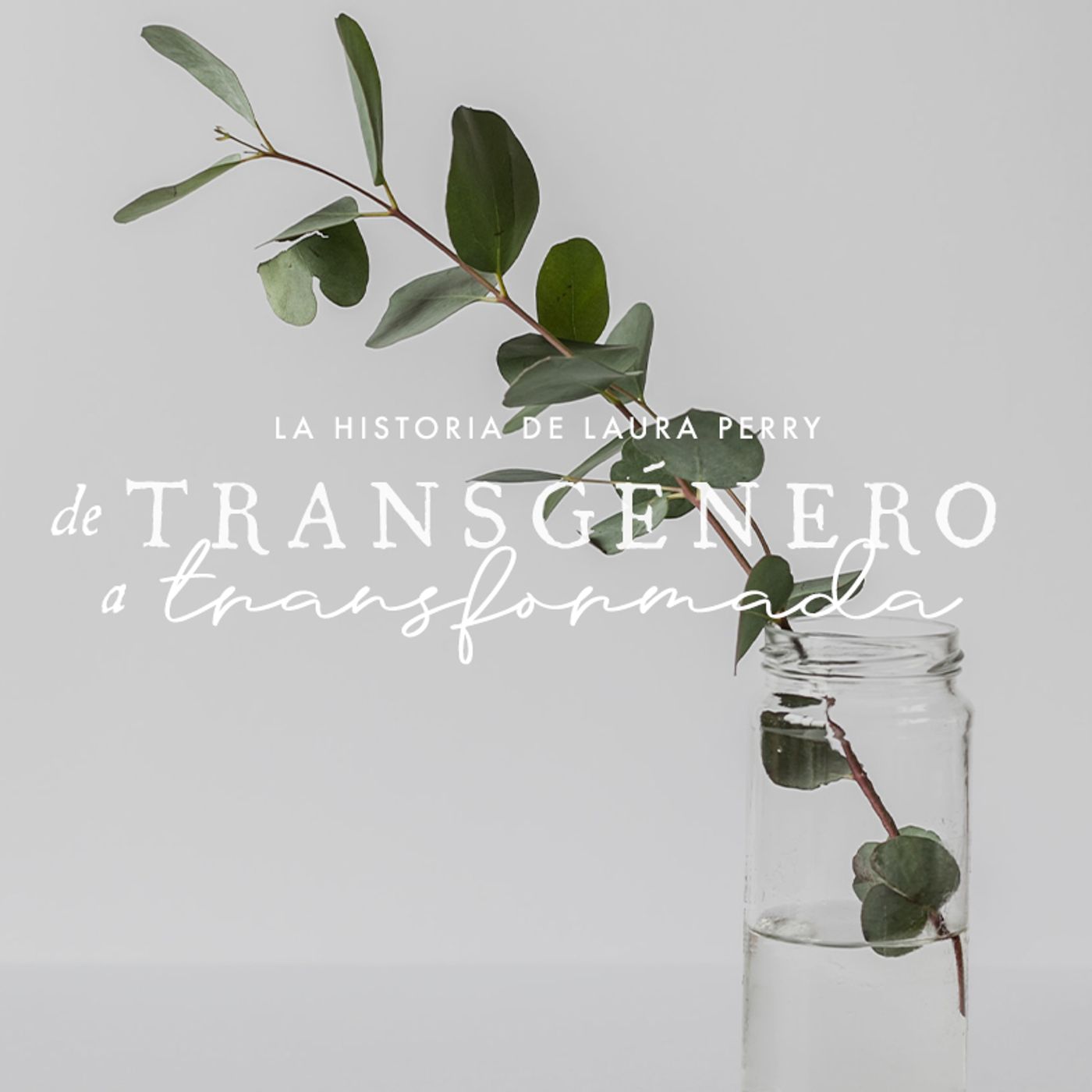 Diseñada y definida por Dios