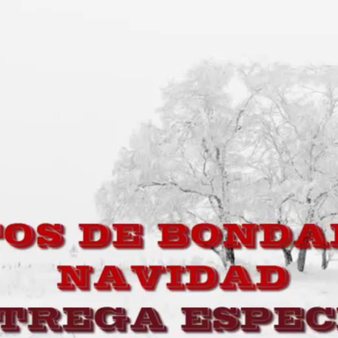 Entrega especial / Reflexiones cristianas de Navidad episode artwork