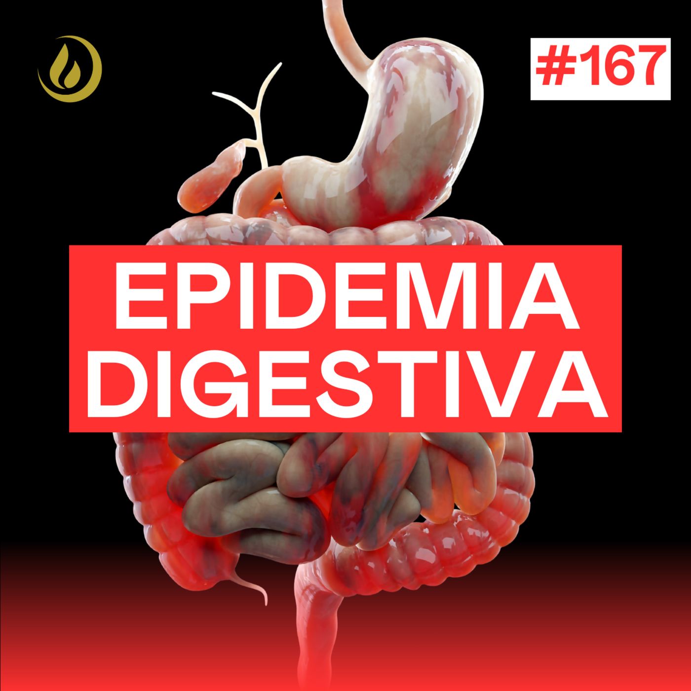 167 - 4 EXPERTOS explican cómo RECUPERAR el control de tu SISTEMA DIGESTIVO y equilibrar tu MICROBIOTA