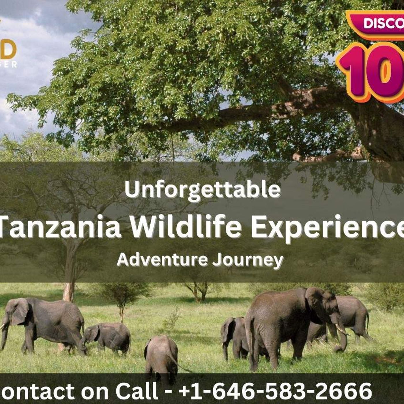 Tanzania Wildlife Experience Journey with  Wildvoyager episode artwork