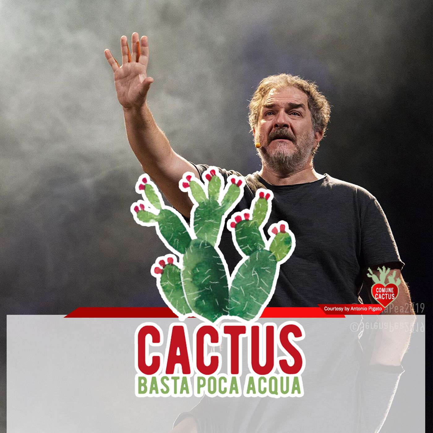 Cactus