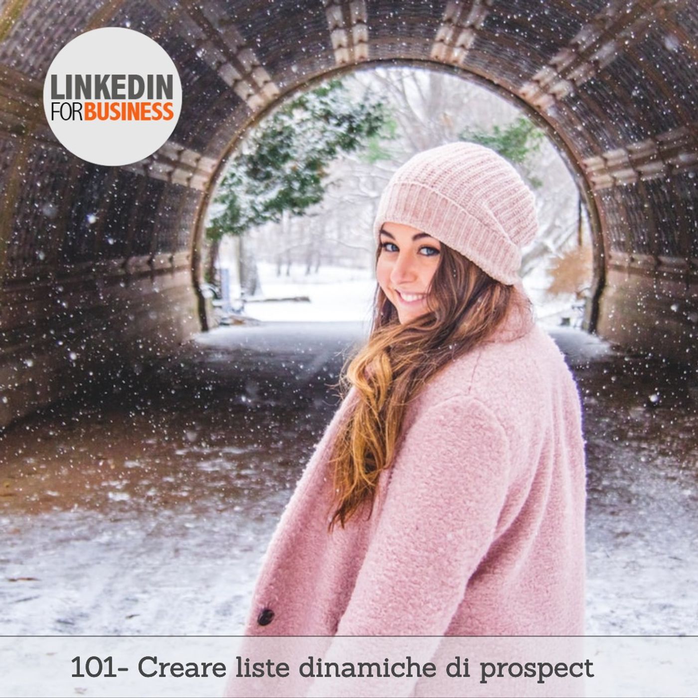 LinkedinForBusiness by Leonardo Bellini