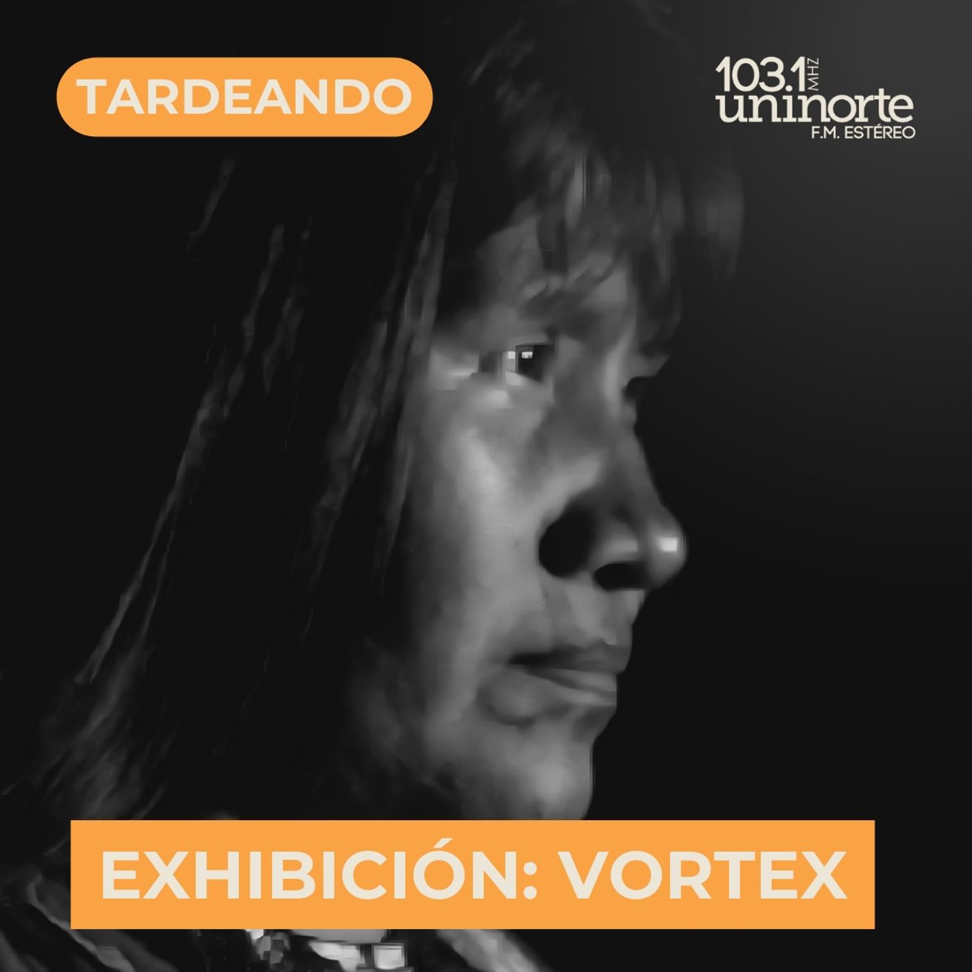 Exhibición :: VORTEX. INVITADO: Pablo Andrés Muñoz episode artwork