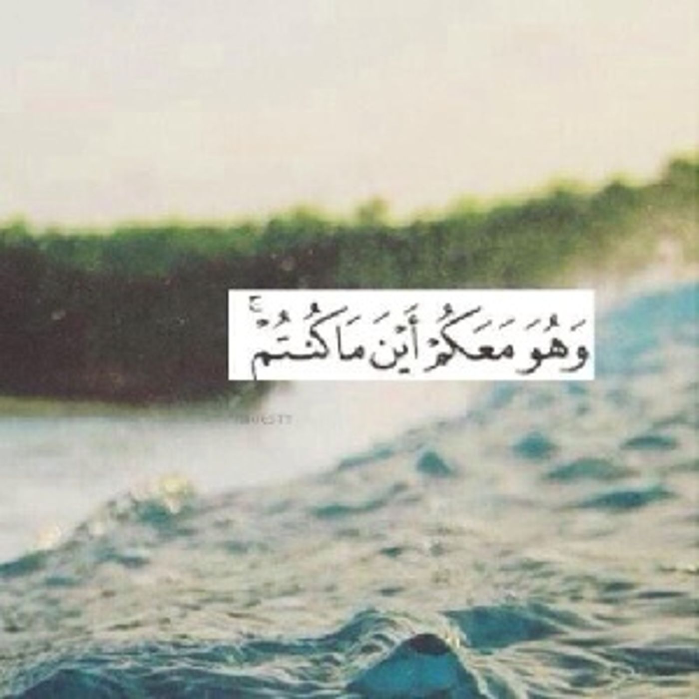 العفه