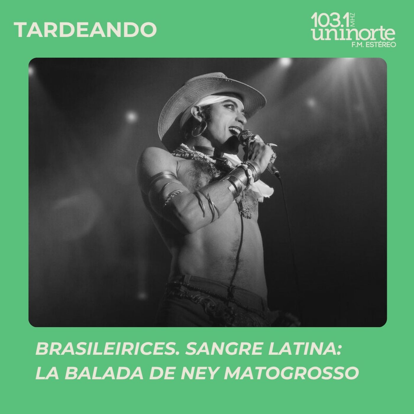 Brasileirices :: Ney Matogrosso – Cuando cantar es un acto de provocación episode artwork