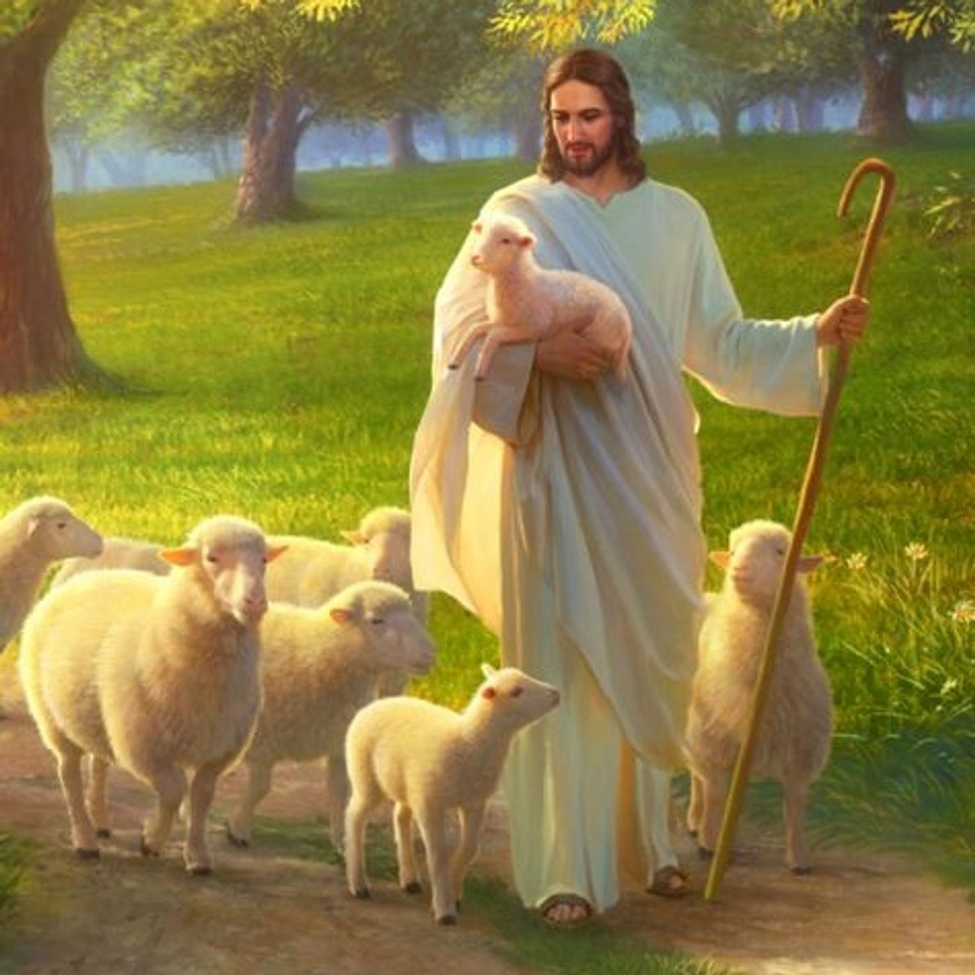 PASQUA - Dom. 4 - A 2026 - Gesù Buon Pastore e Porta dell’ovile (Gv 10,1-10) - Omelia episode artwork