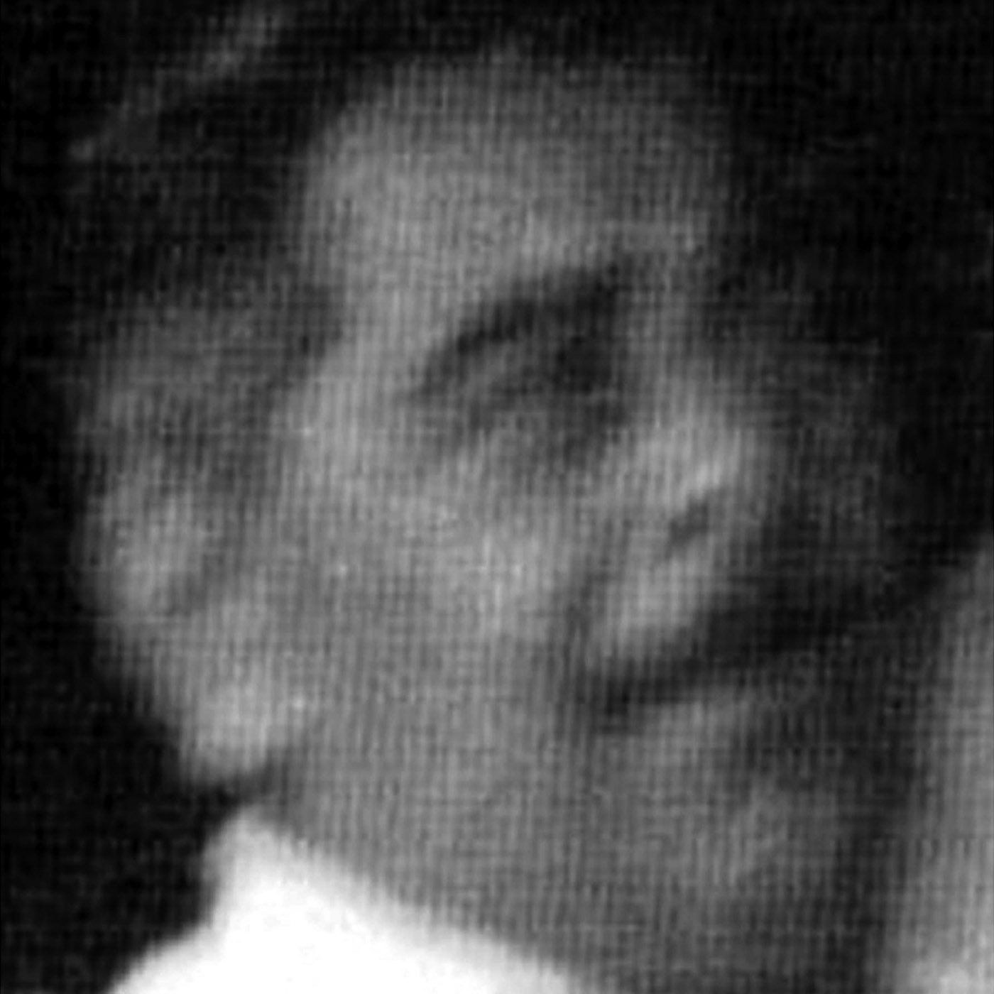 196 abrazos contra el olvido