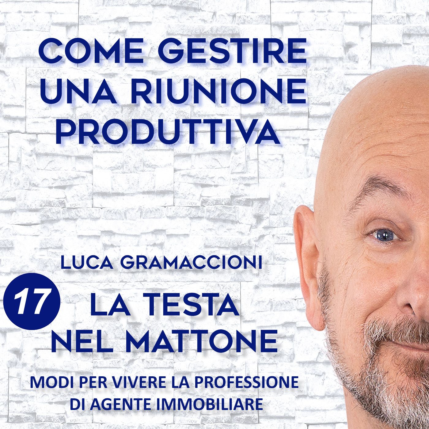 LA TESTA NEL MATTONE