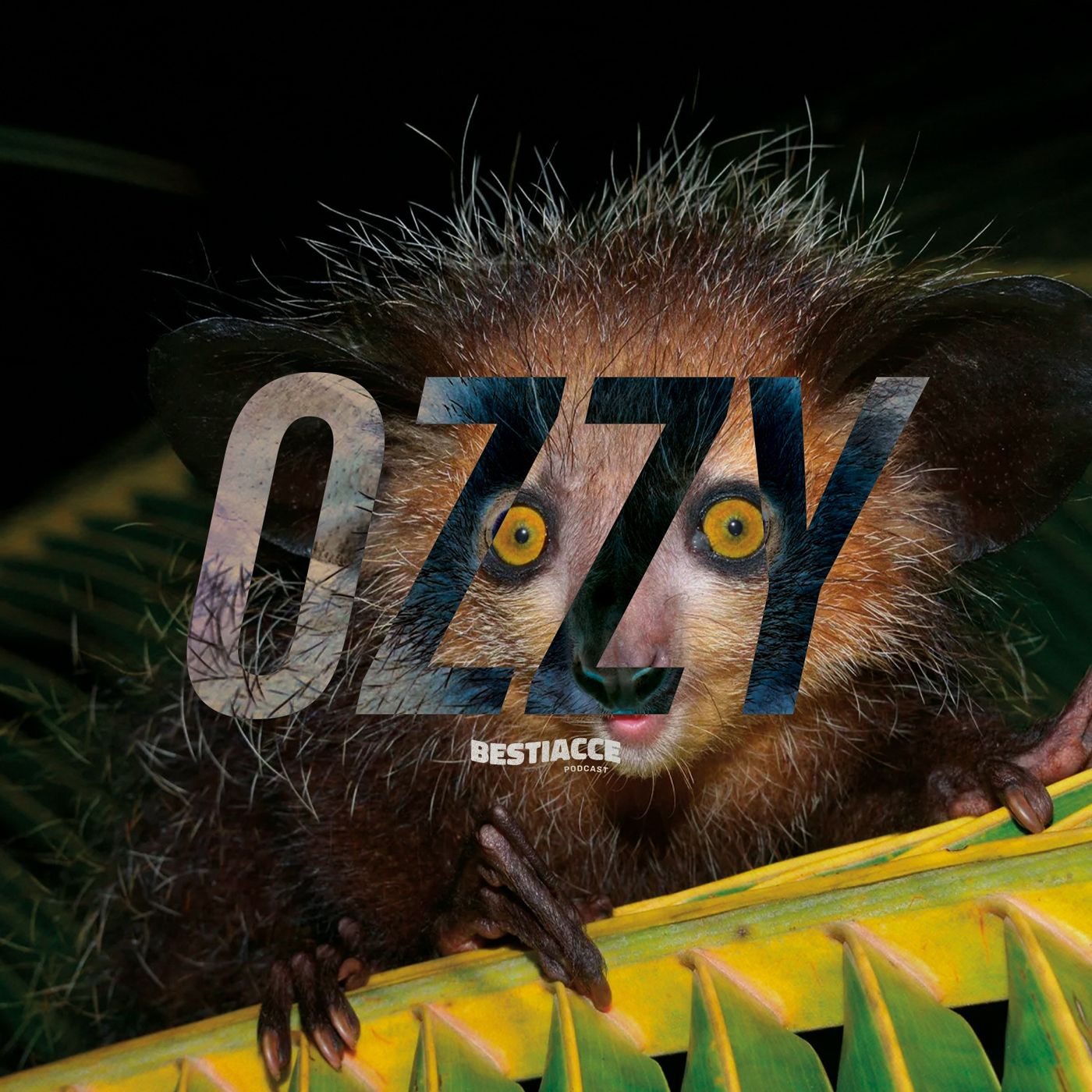 Ep. 22 · OZZY