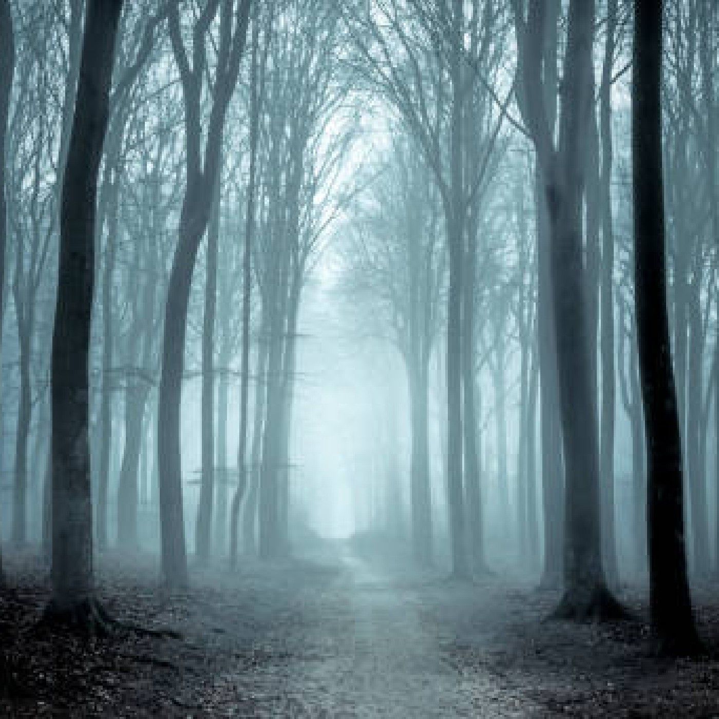 Haunting Okeechobee