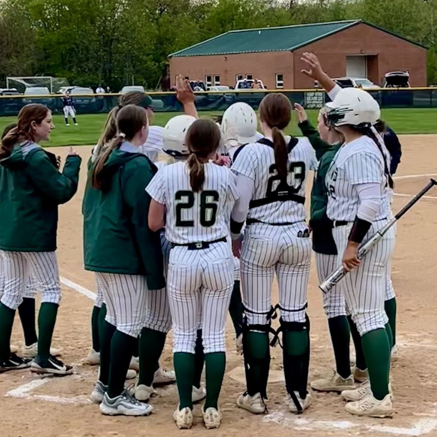 Freshman Hannah Heiberger’s two home runs, double power St. Bede to Tri-County win over Marquette episode artwork