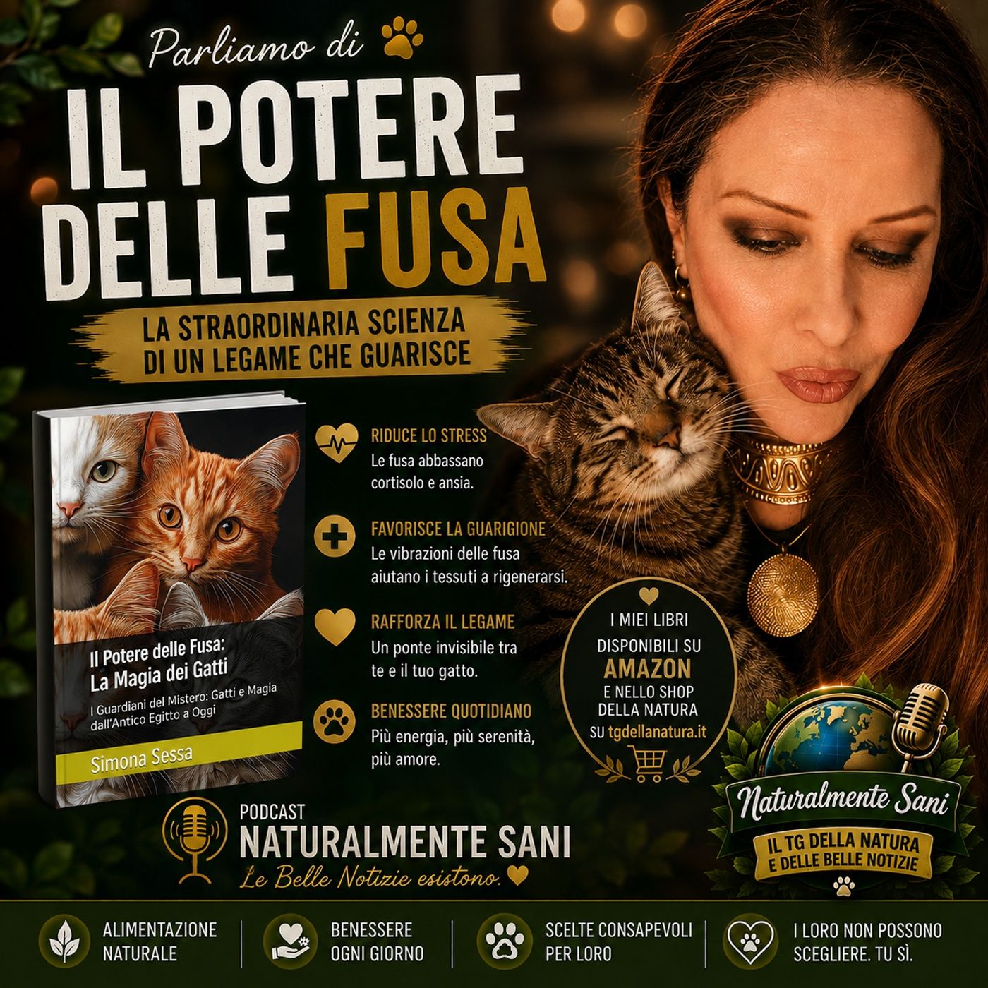 Il potere sconfinato delle fusa dei gatti episode artwork