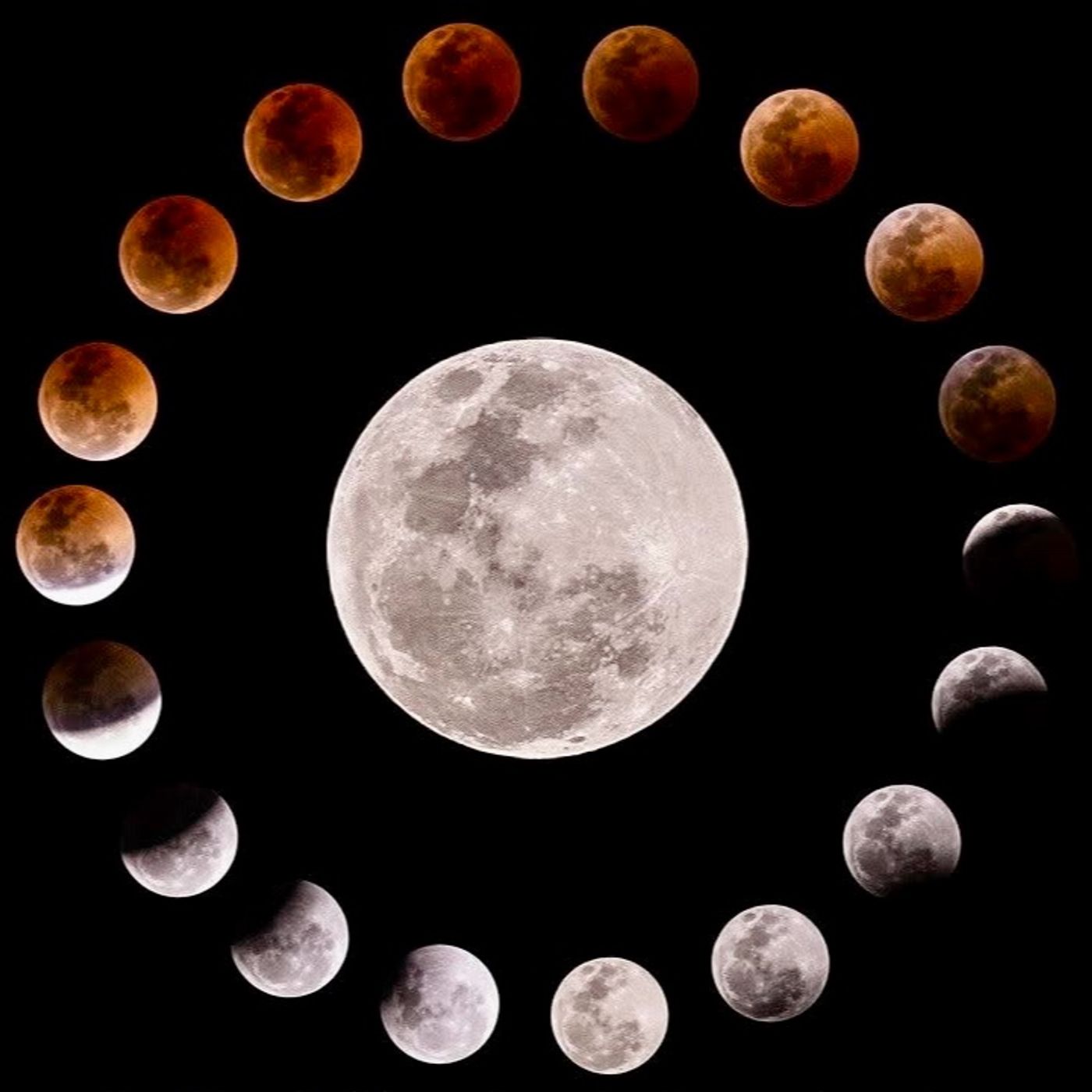 YOUR MOON PLACEMENT BY HOUSE AND SIGN - WHAT DOES THAT TELL US ABOUT YOU?