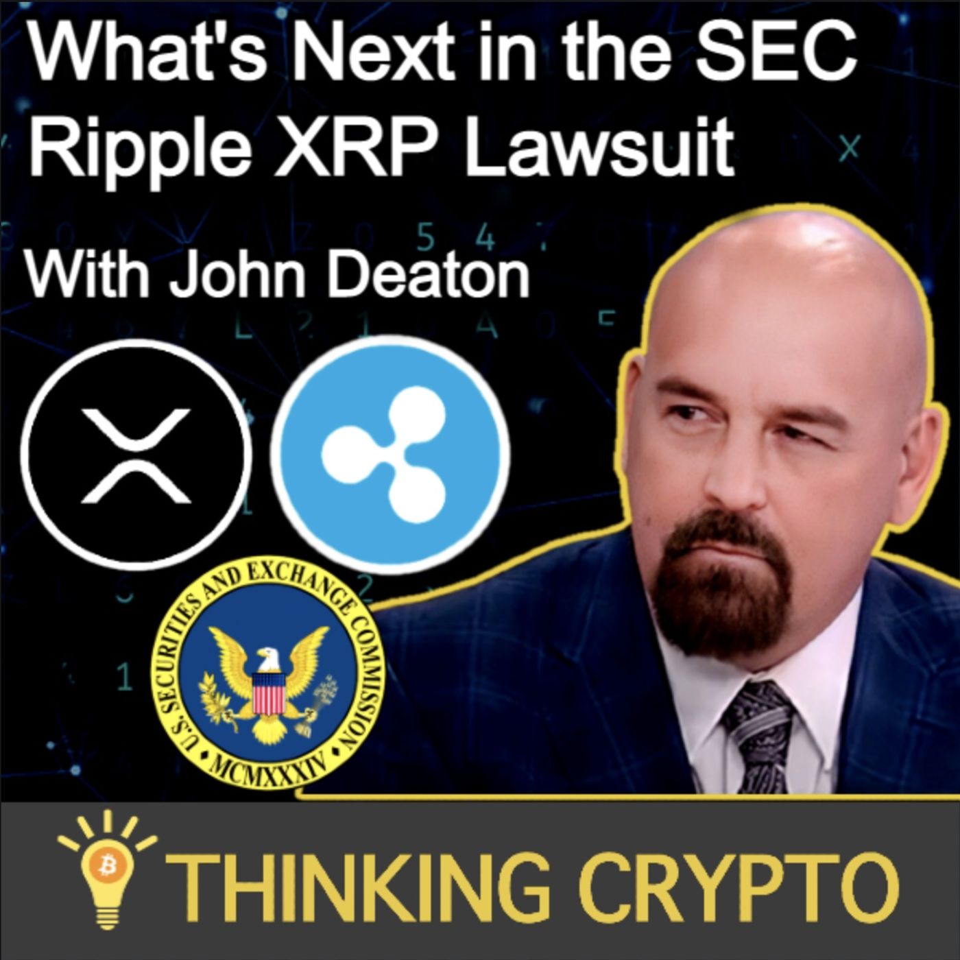 John Deaton Interview - SEC Ripple XRP Lawsuit Summary Judgment, Settlement, Amicus Briefs, Ethereum, LBRY