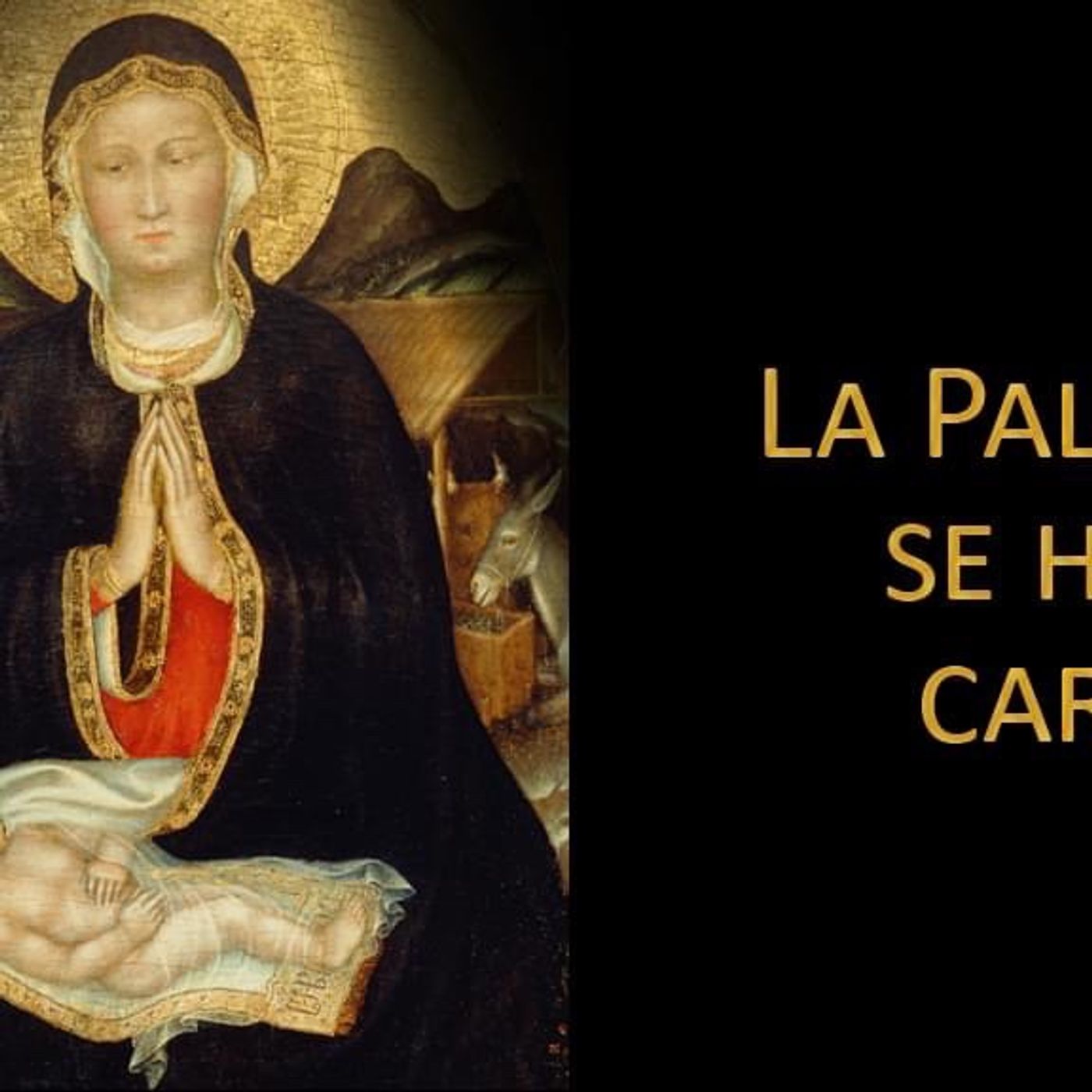 Meditaciones Evangelio De Hoy