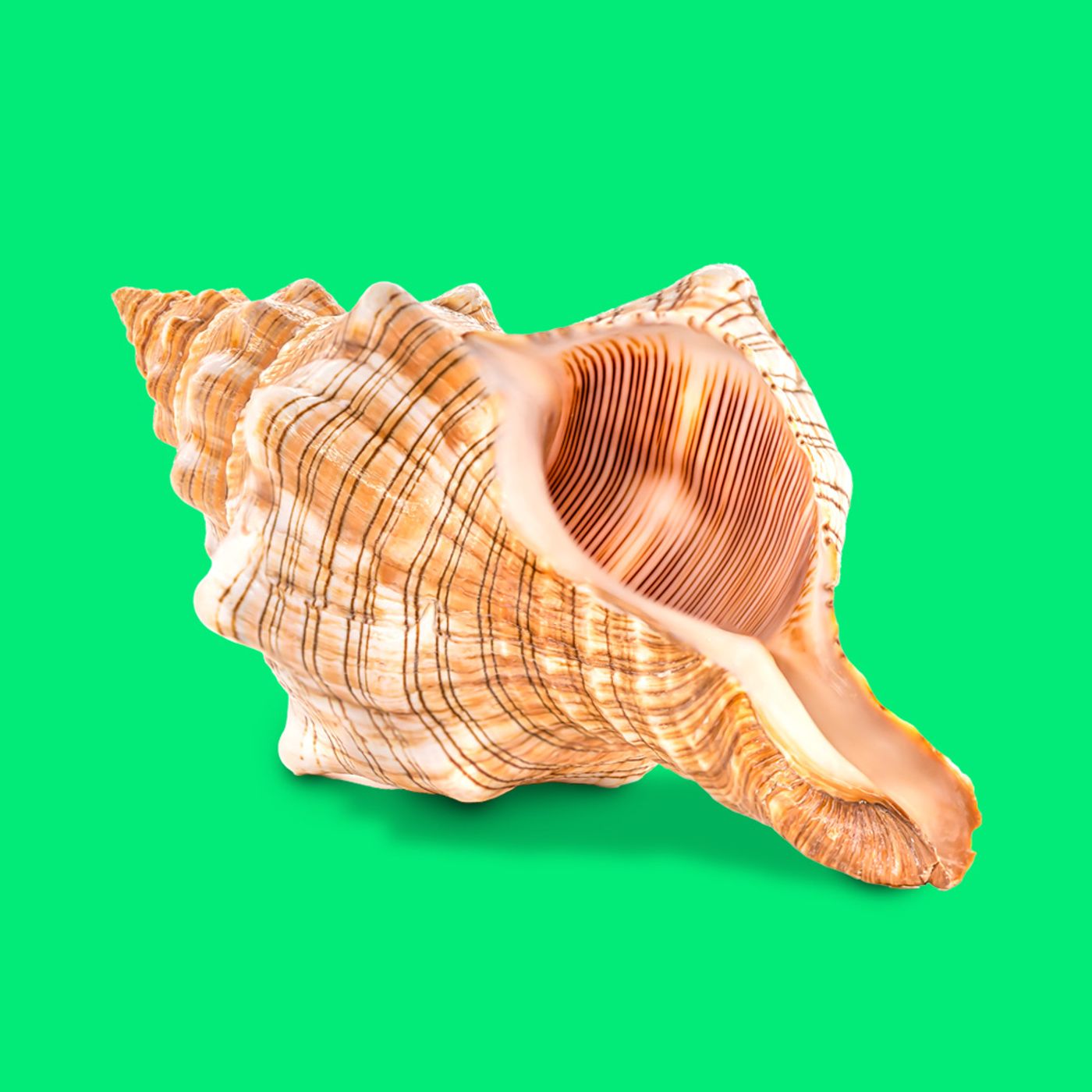 Lydens lindrende kraft