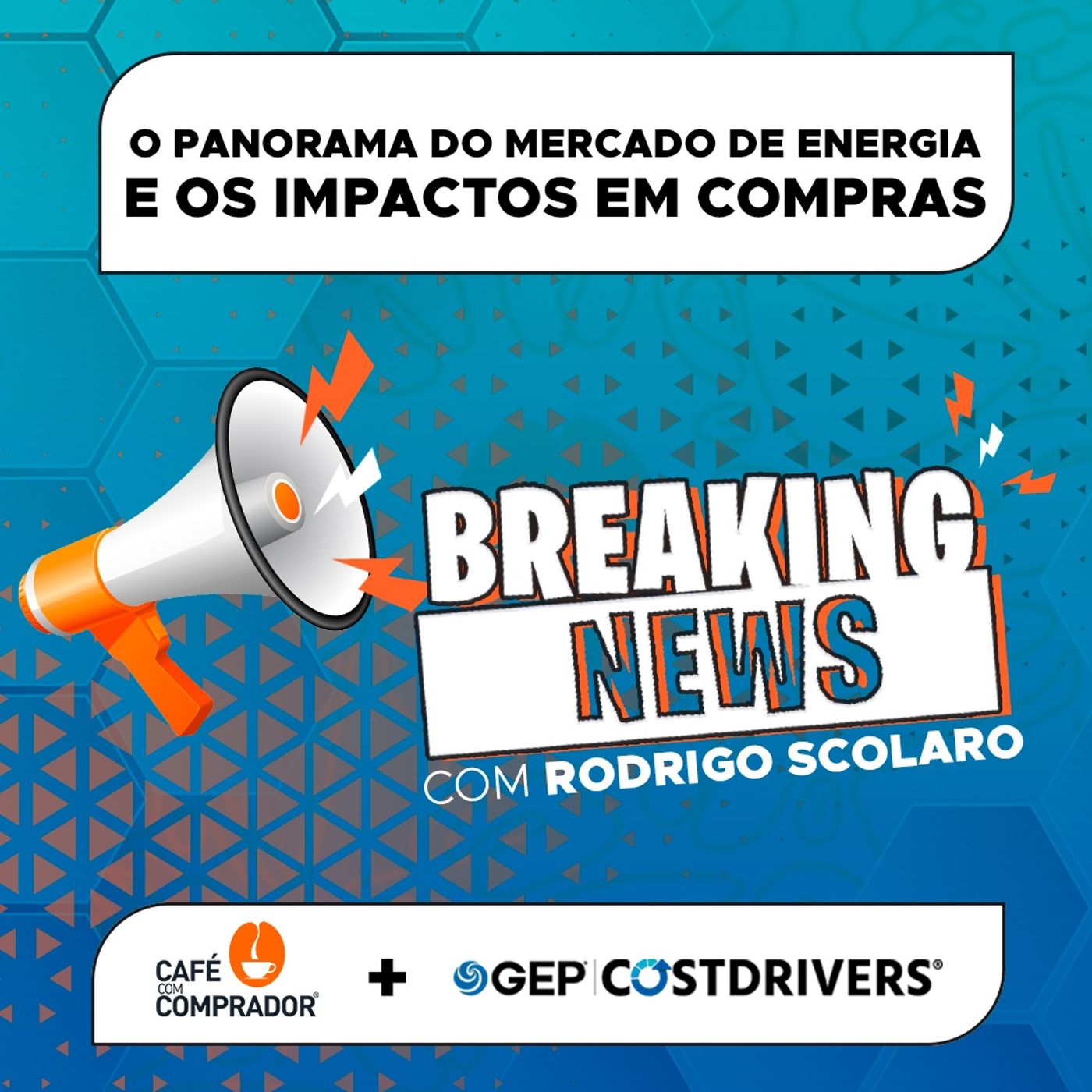 O Panorama do Mercado de Energia e os Impactos em Compras episode artwork
