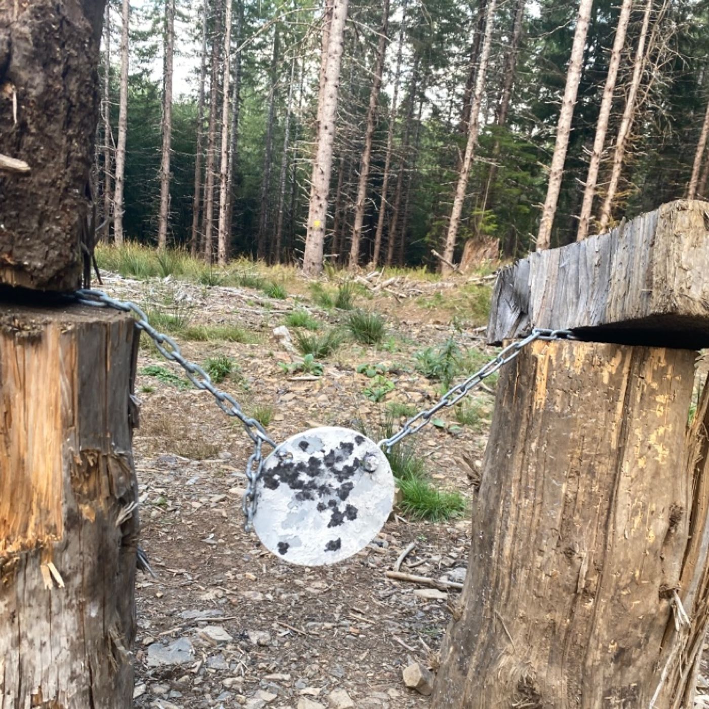 Creating Like a Man Made in the Image of GOD Imago Dei