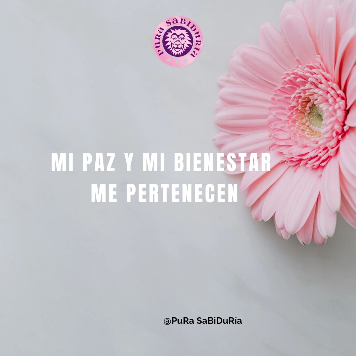 Portada de No estoy Disponible para el Caos