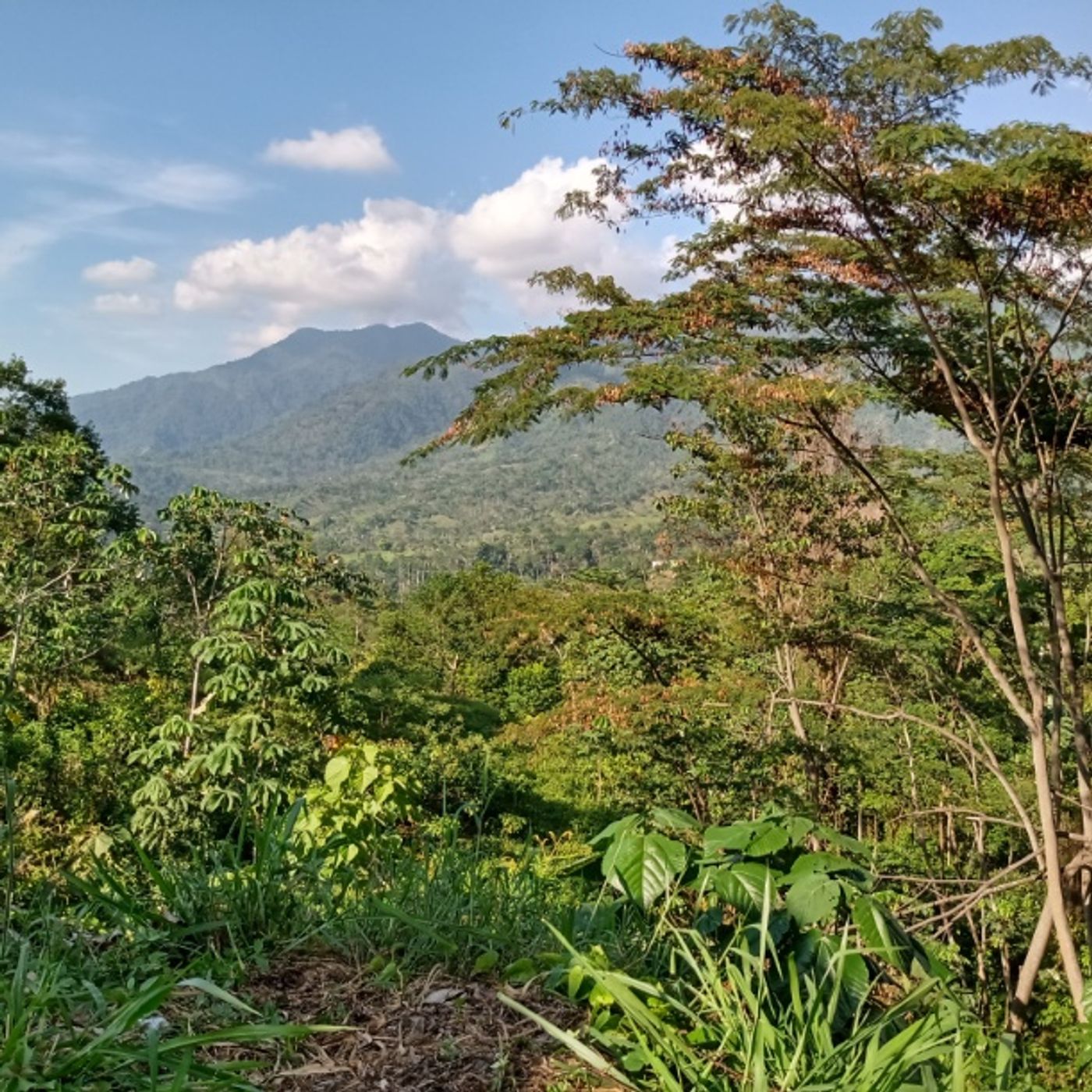 Hilos de resiliencia