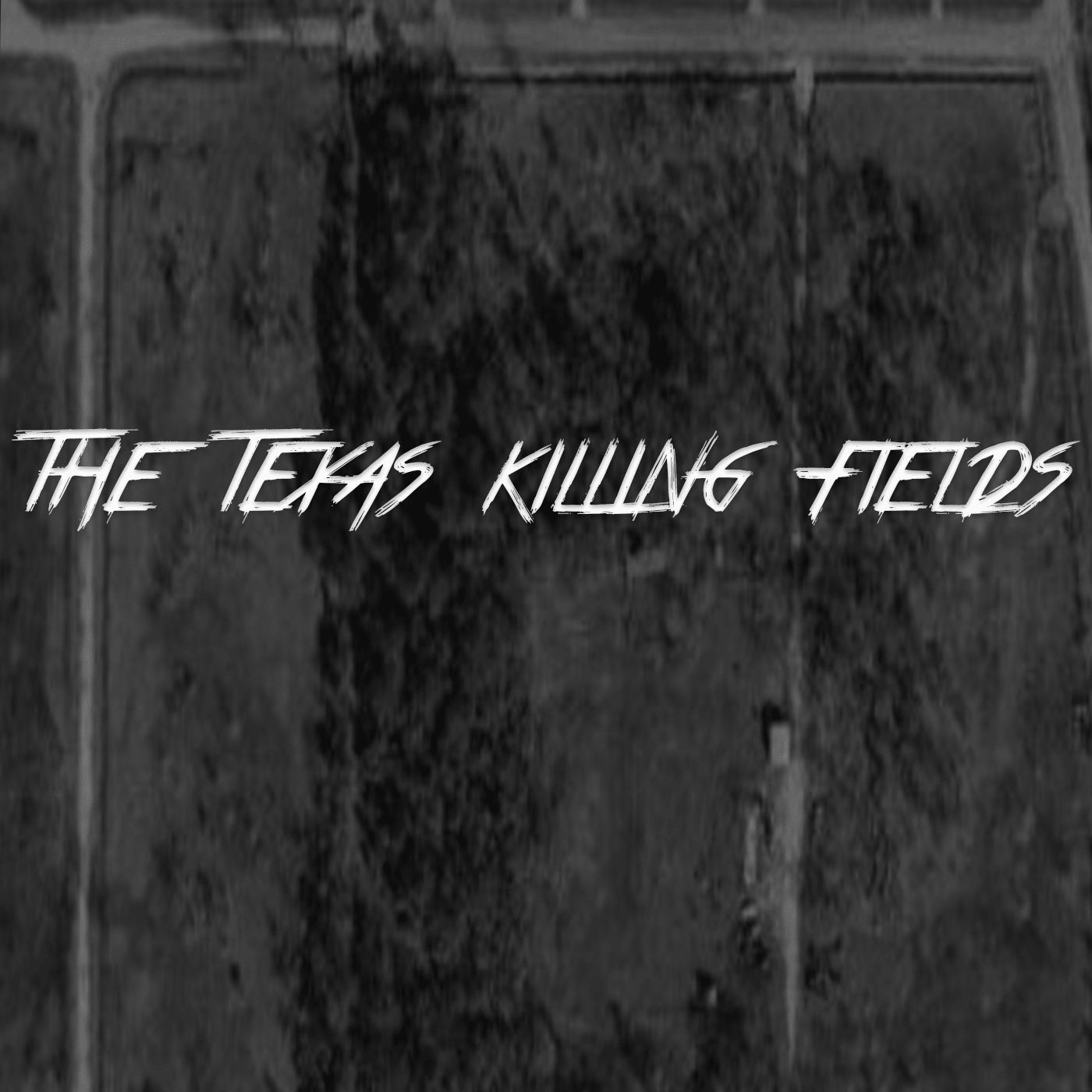 The Texas Killing Fields