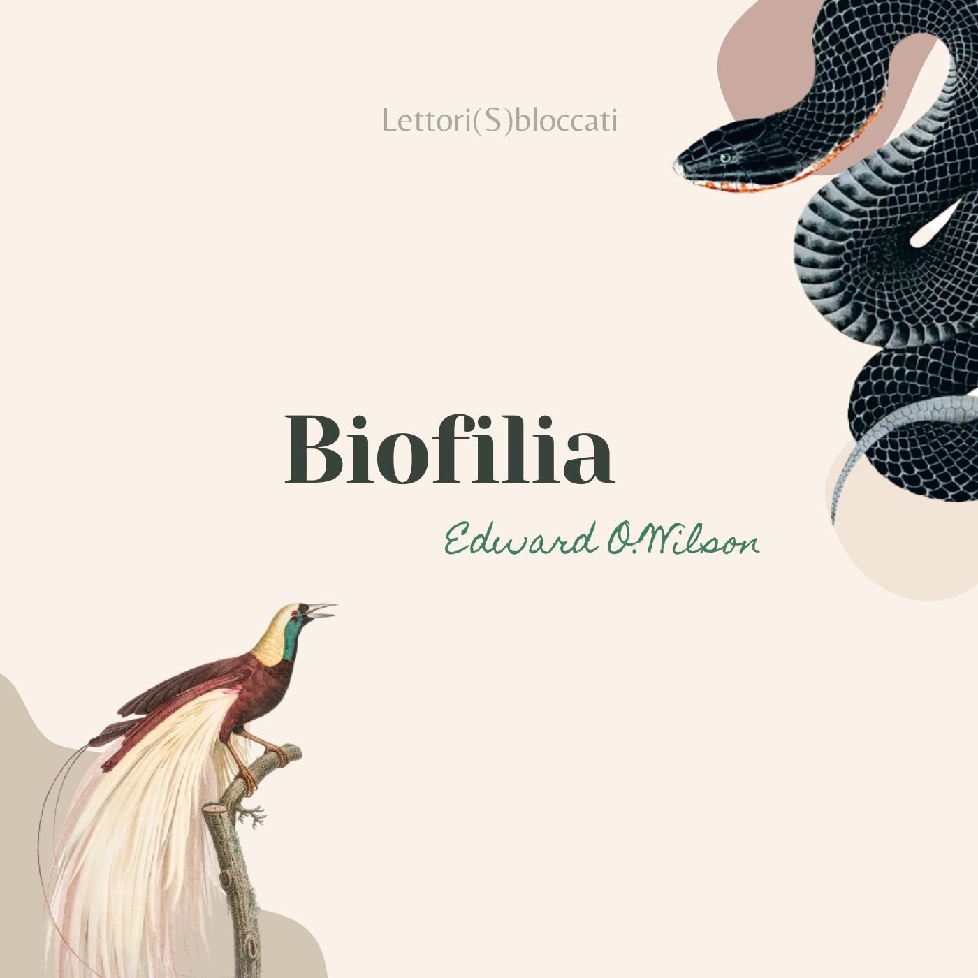 Lettori Sbloccati