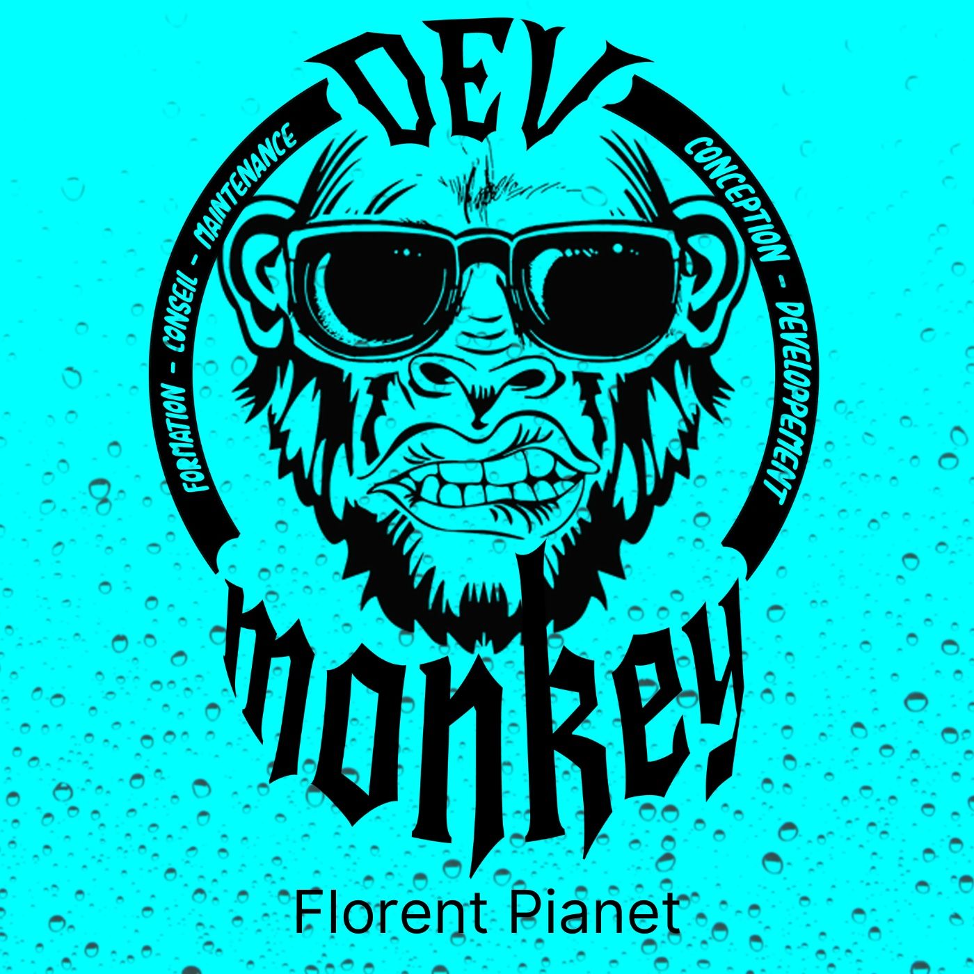 Dev Monkey