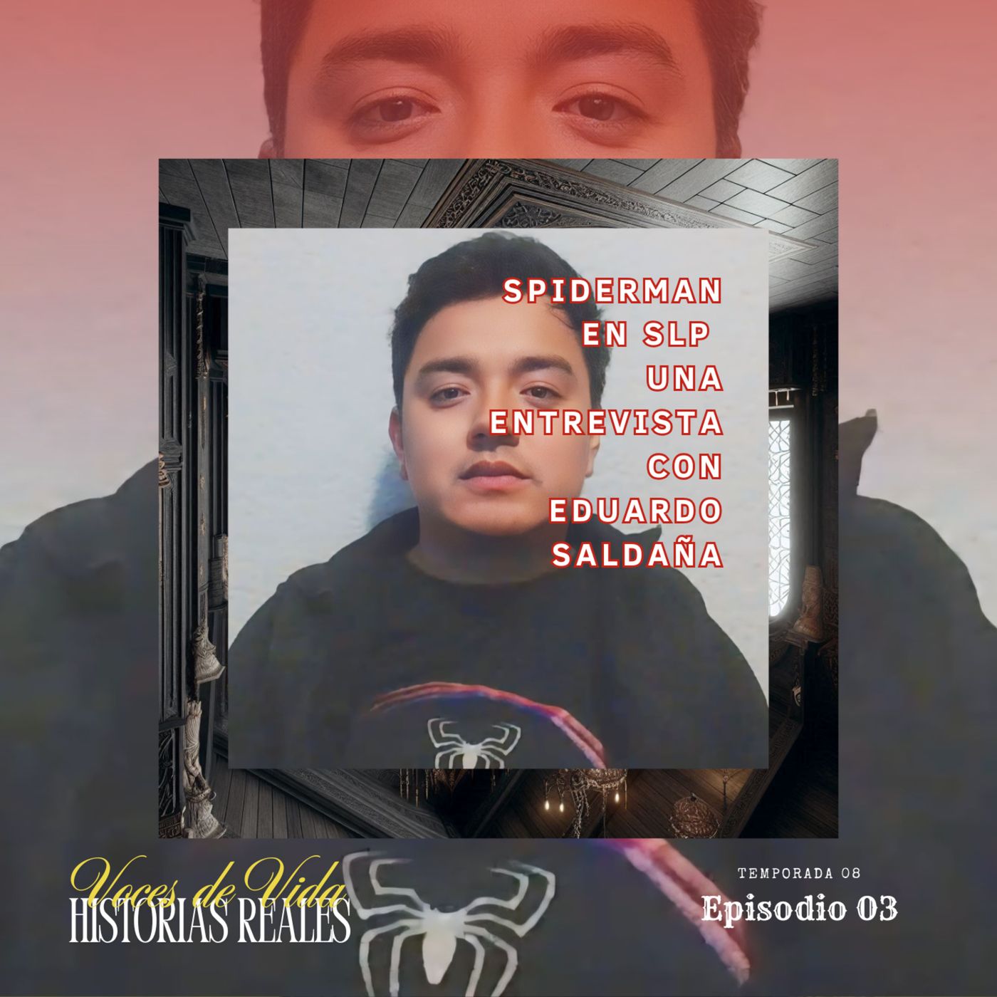Voces de Vida, Historias Reales