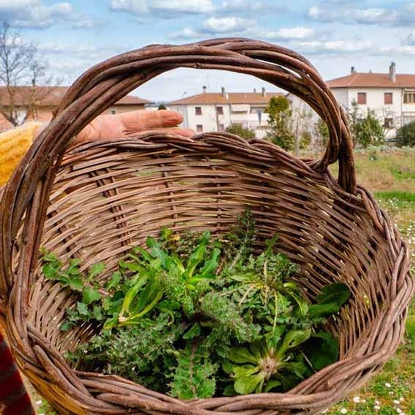 La cura della terra