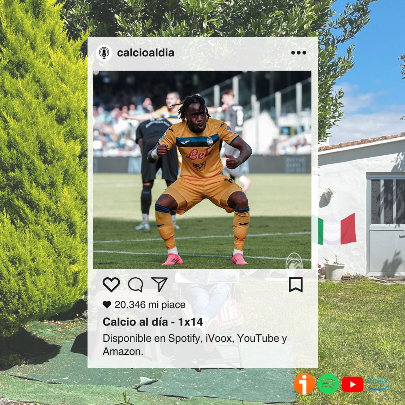 Calcio al día