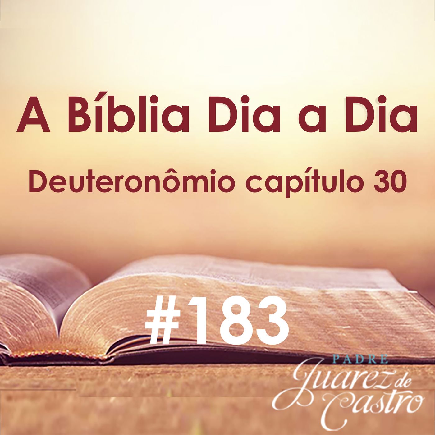 Curso Bíblico Padre Juarez