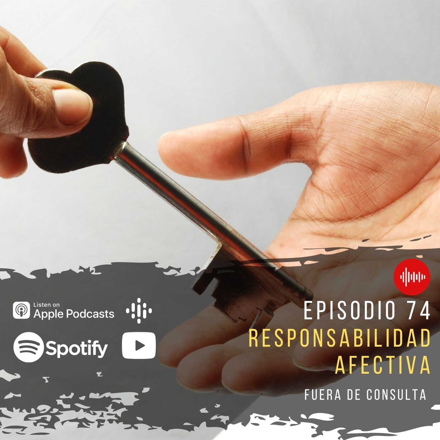 Fuera de Consulta