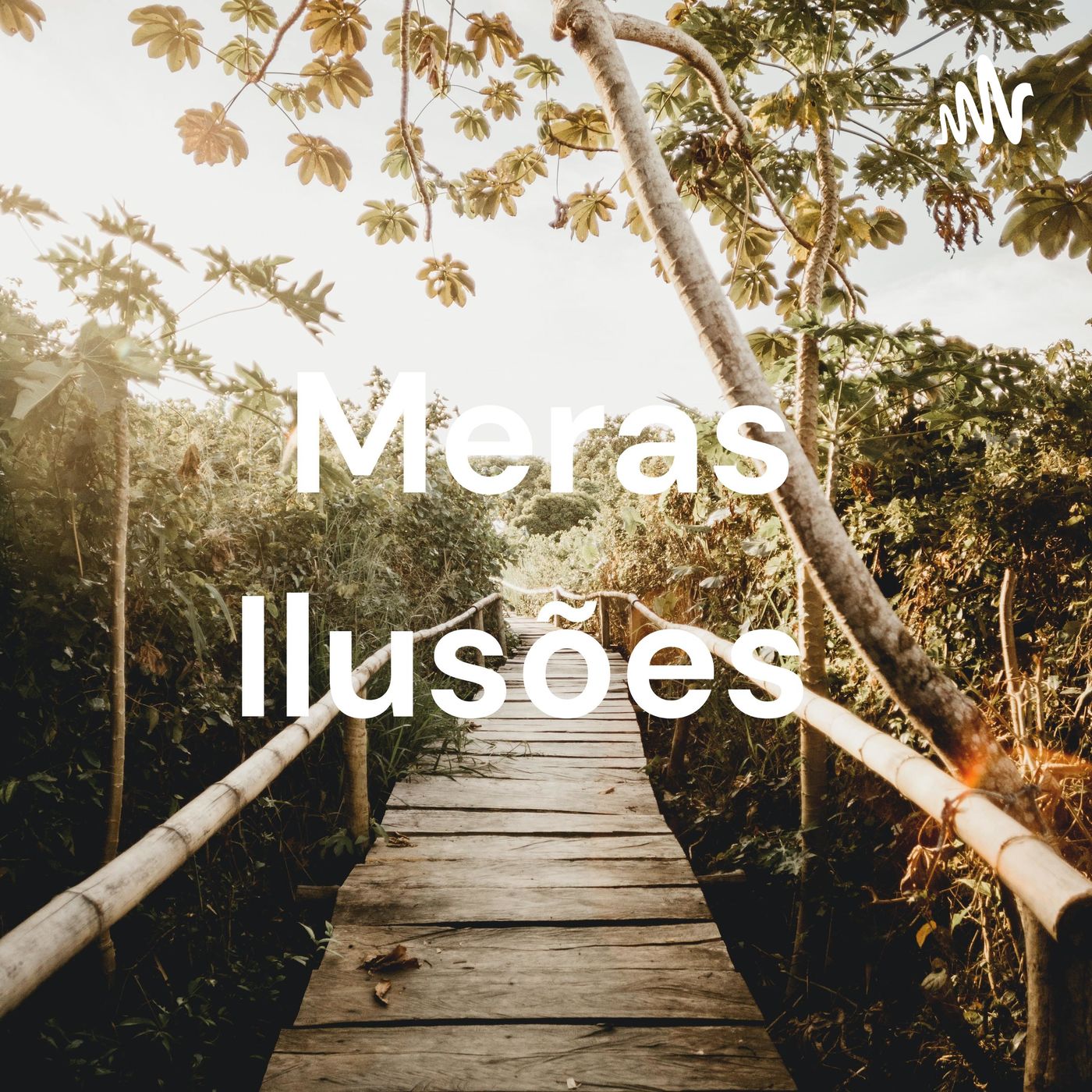 Meras Ilusões - A Arte transforma o real