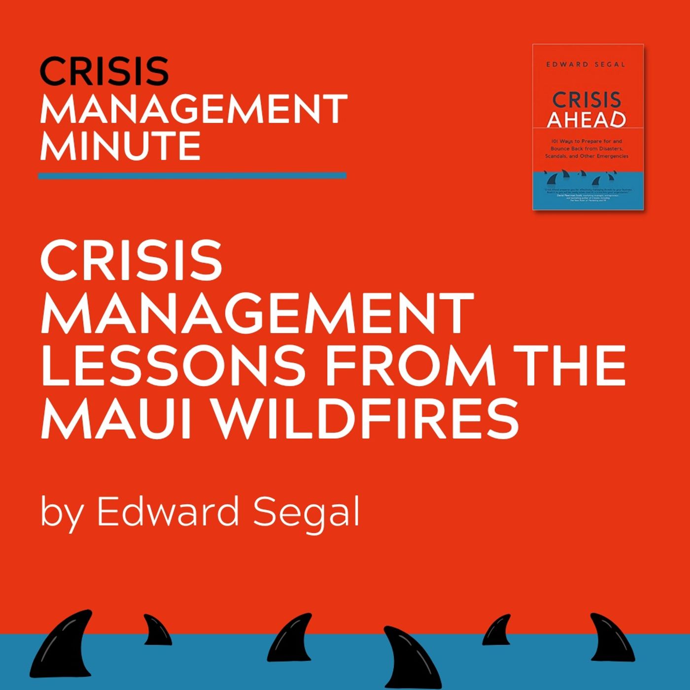 Crisis Management Lessons From The Maui Wildfires