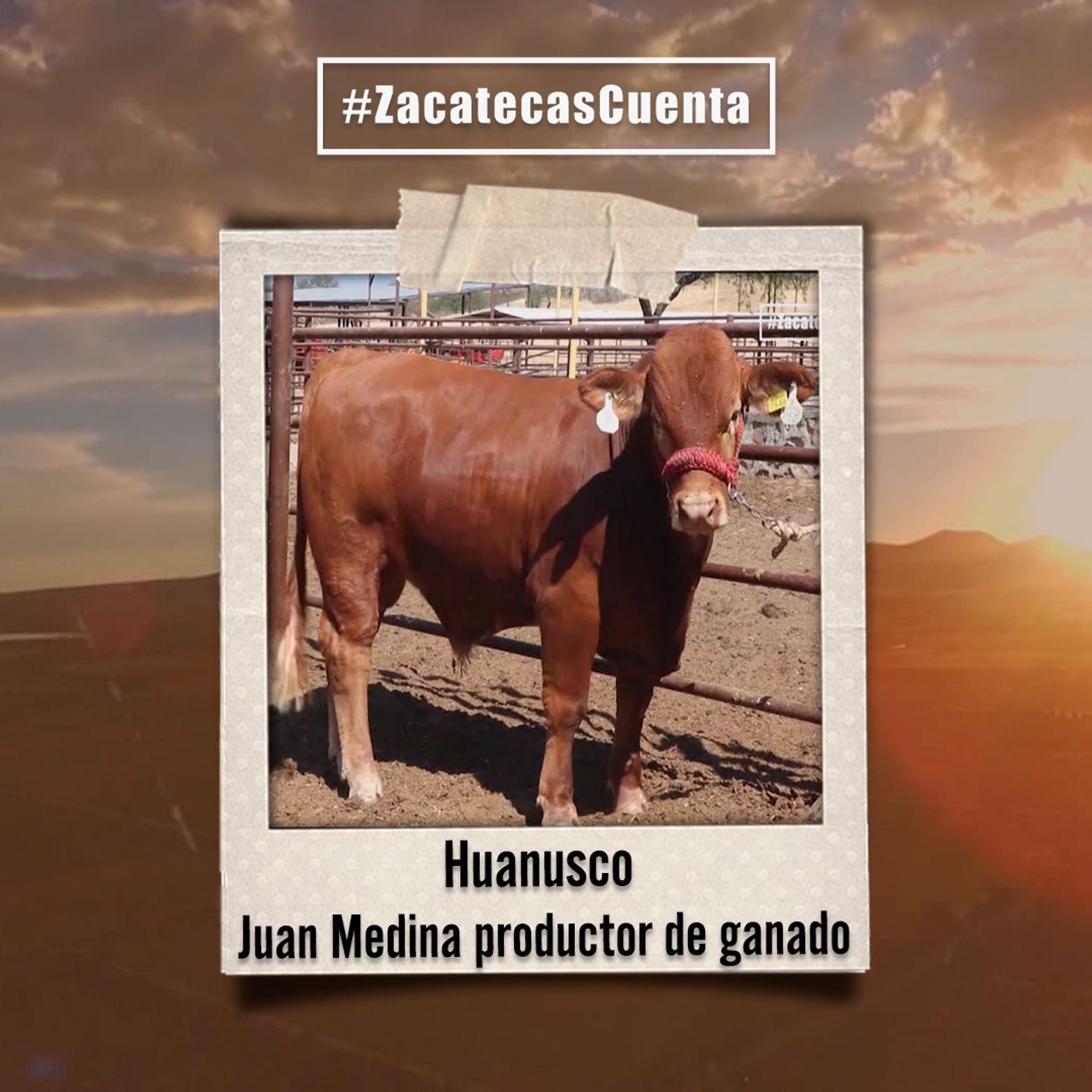 Zacatecas Cuenta