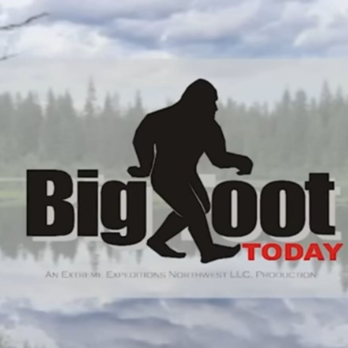 ECBRO BIGFOOT RADIO