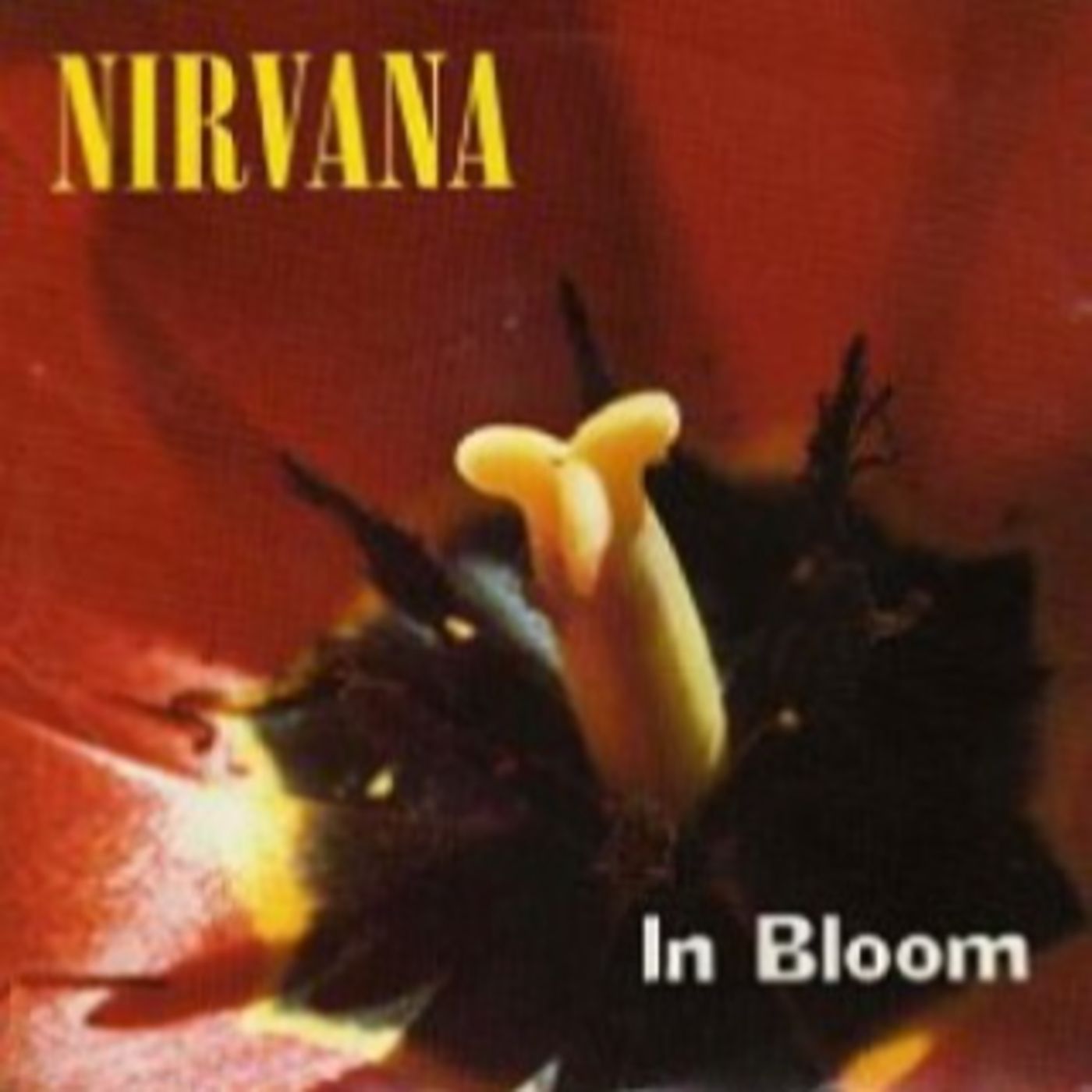 Nirvana - In Bloom (Isolated Tracks)