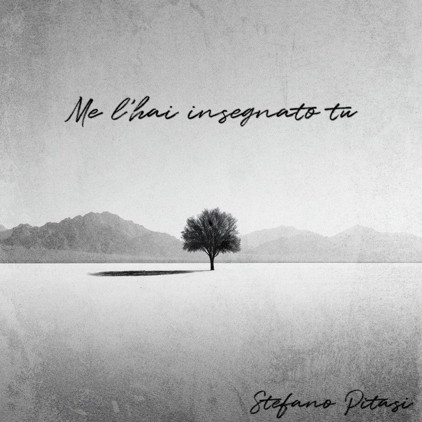 Stefano Pitasi, “Me l’hai insegnato tu”: crescere, ringraziare, restare veri episode artwork