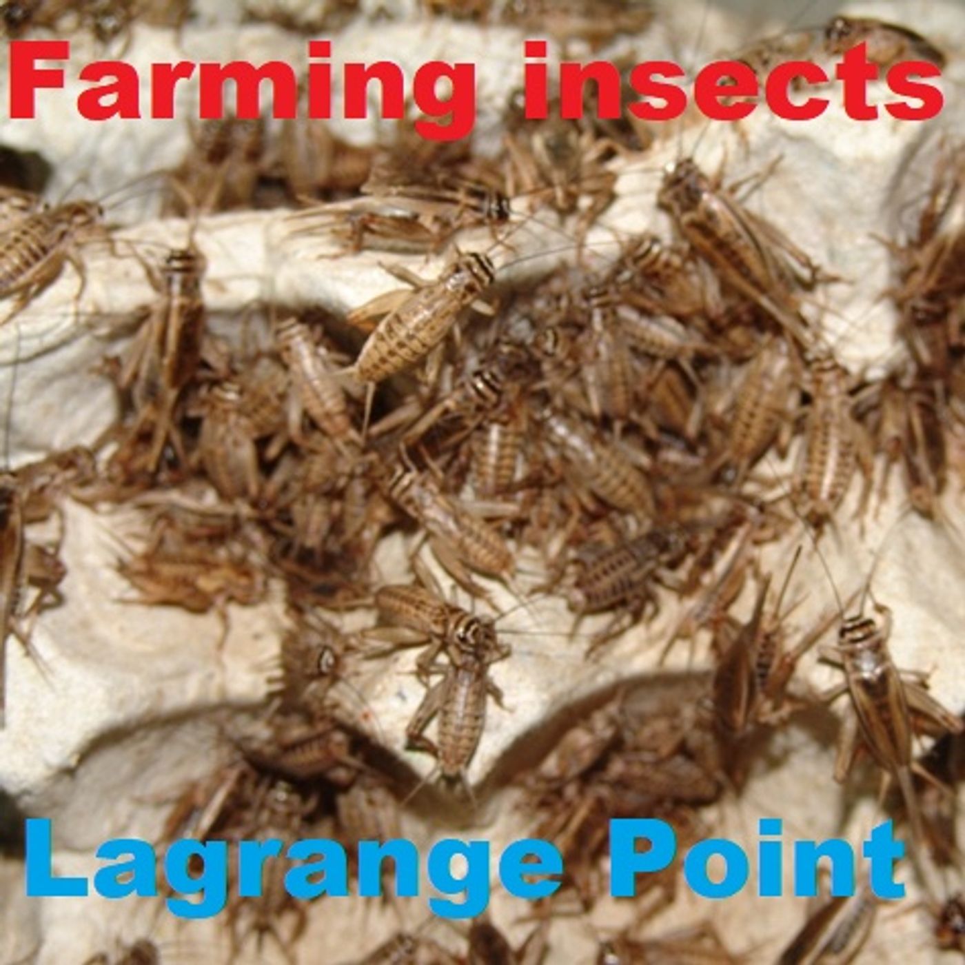 Lagrange Point