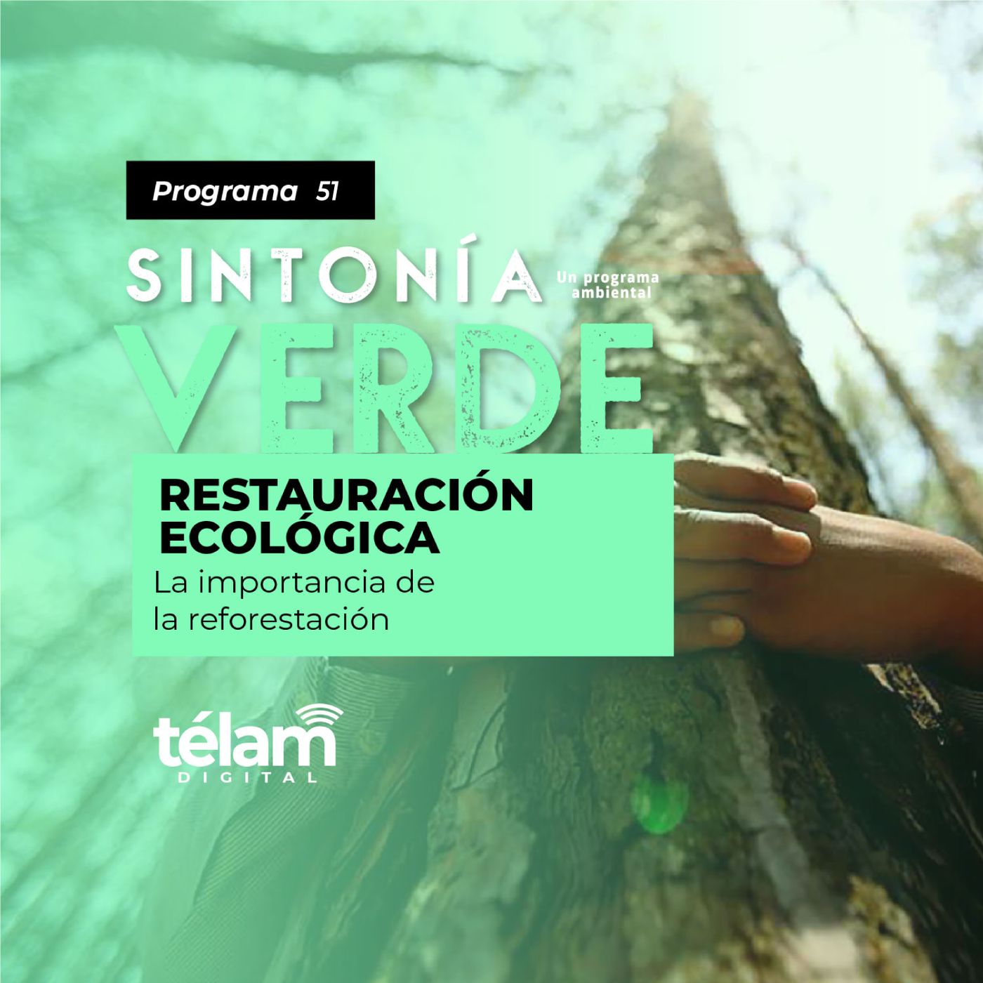 cover of episode Restauración Ecológica: La importancia de la reforestación