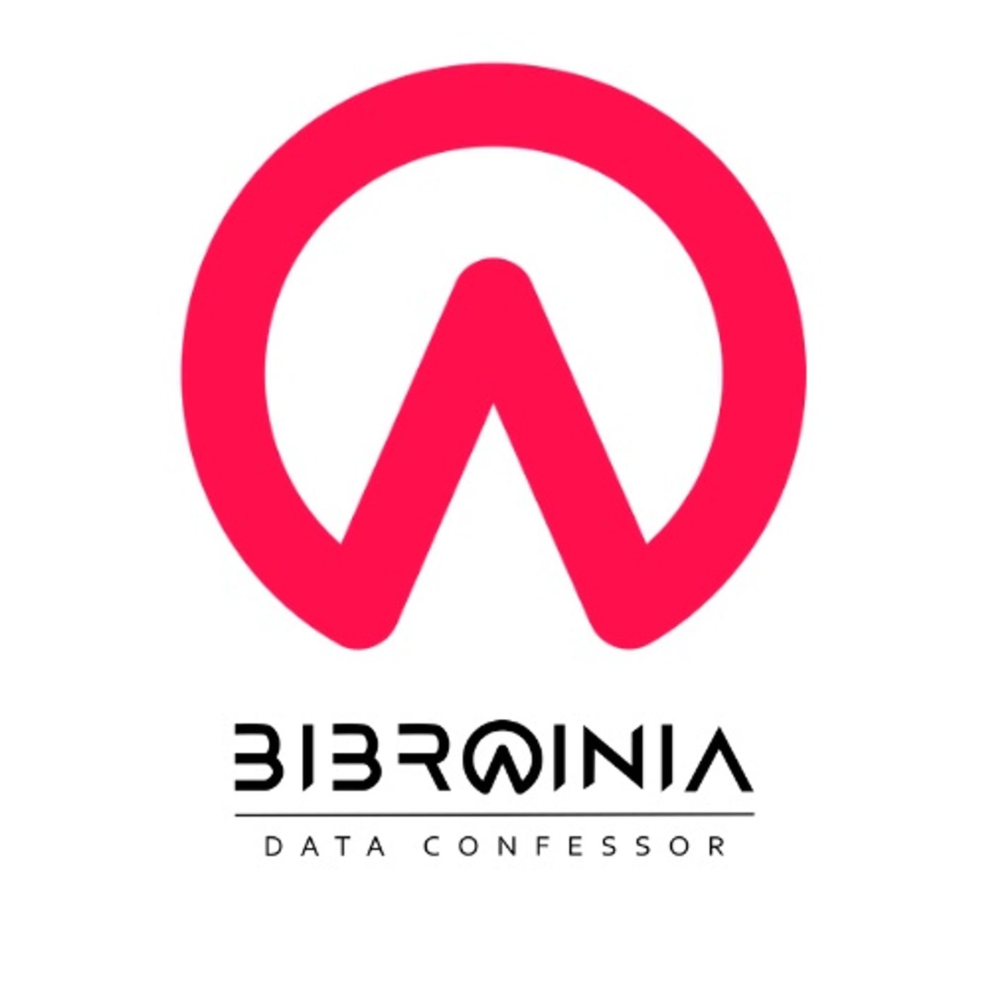 Bibrainia Big Data Solutions