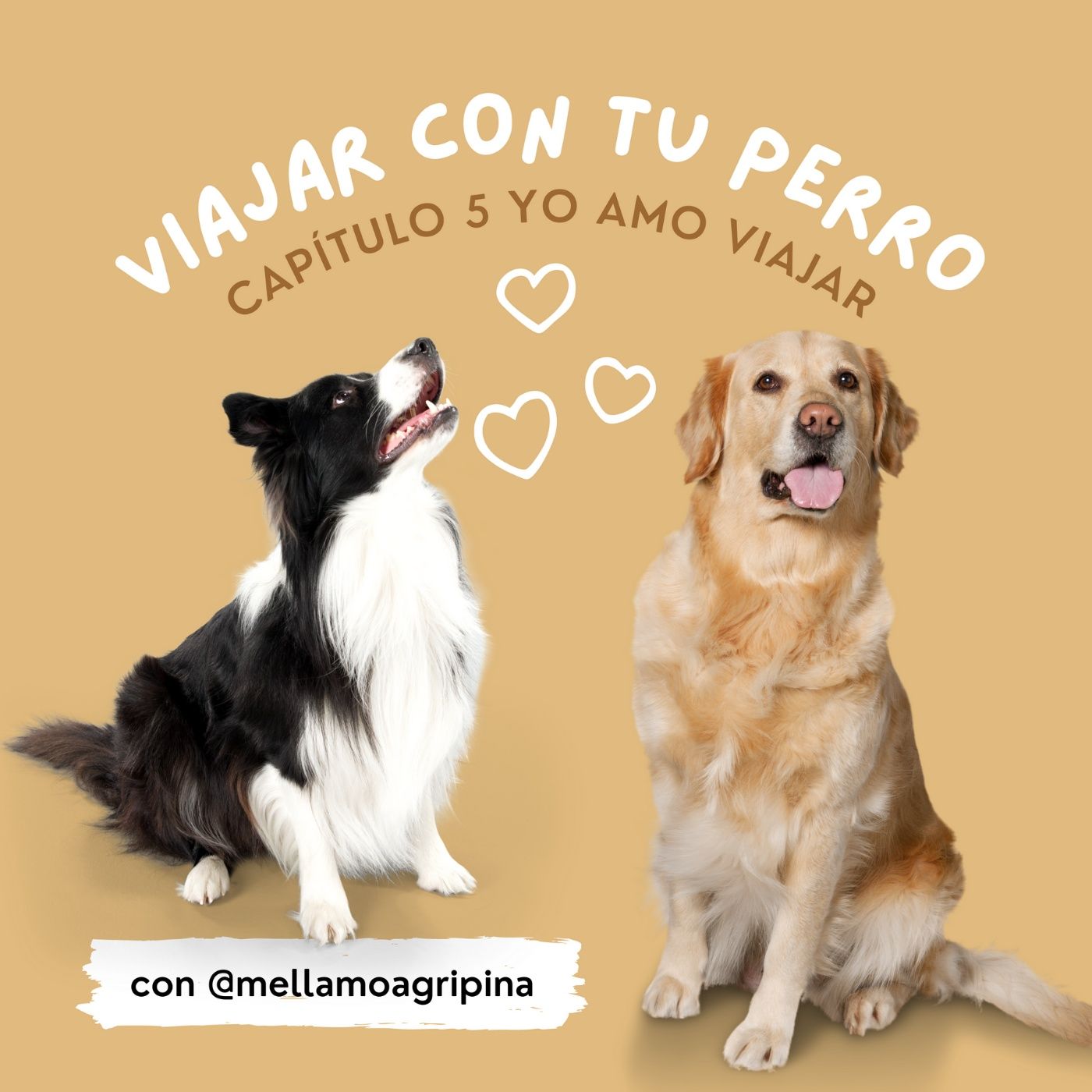 Yo Amo Viajar con @mellamoagripina