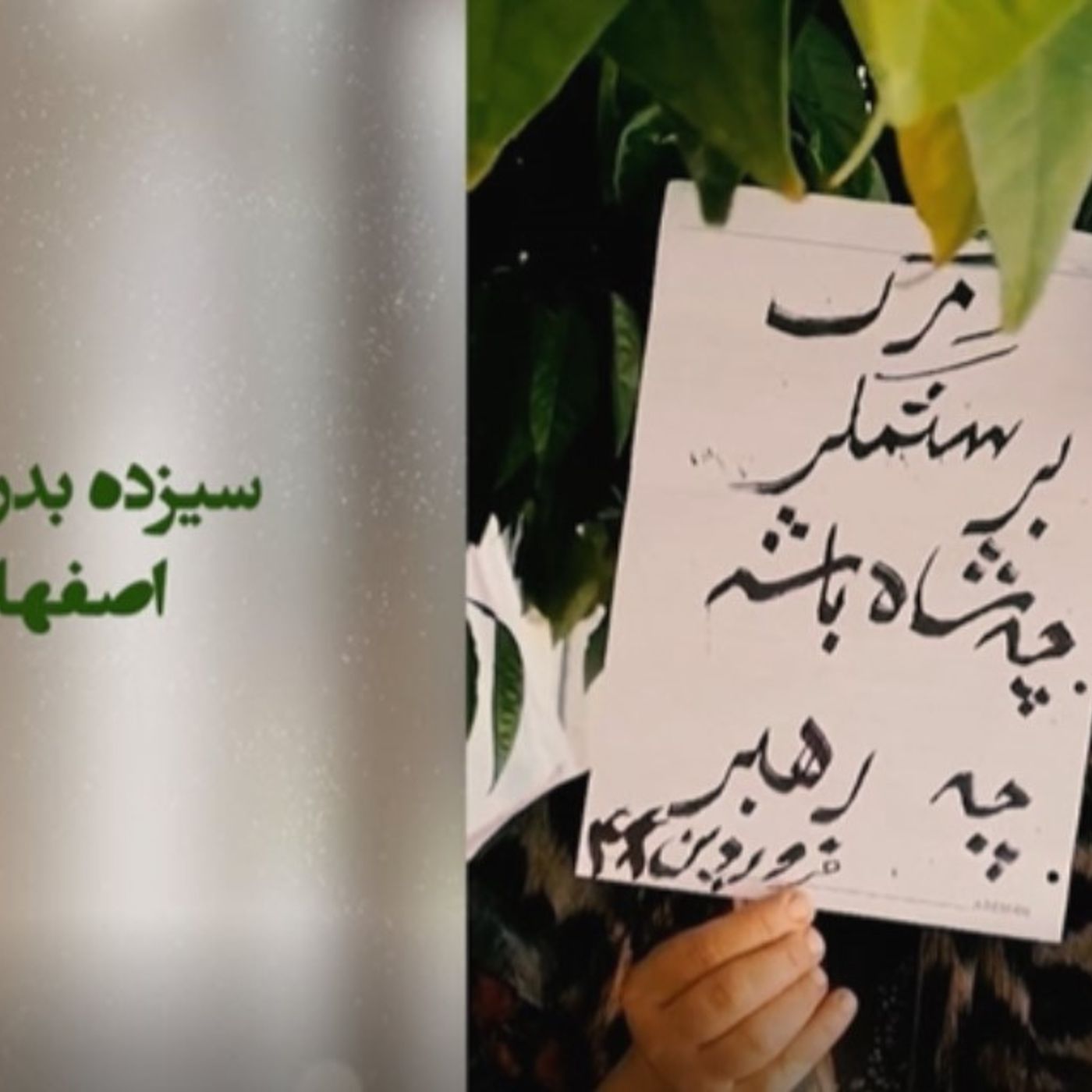 کارزار سیزده بدر