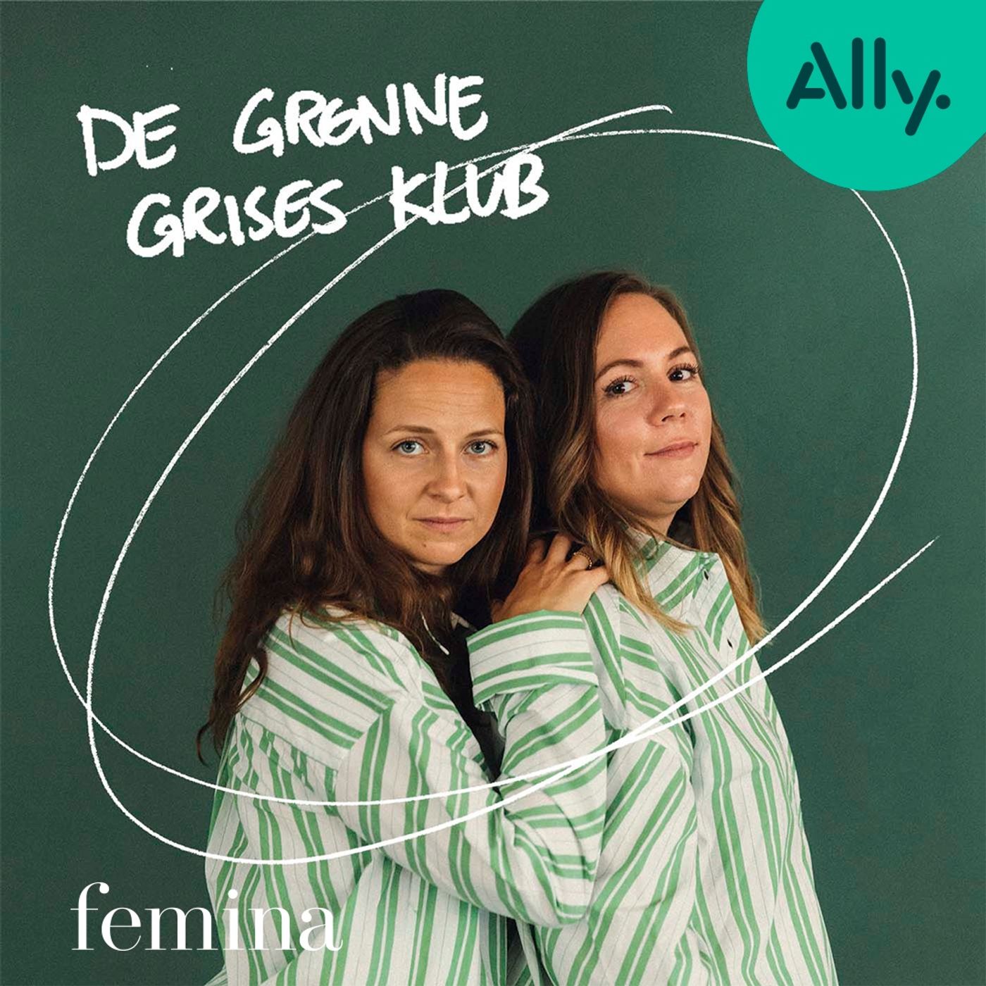 De grønne grises klub af Ally