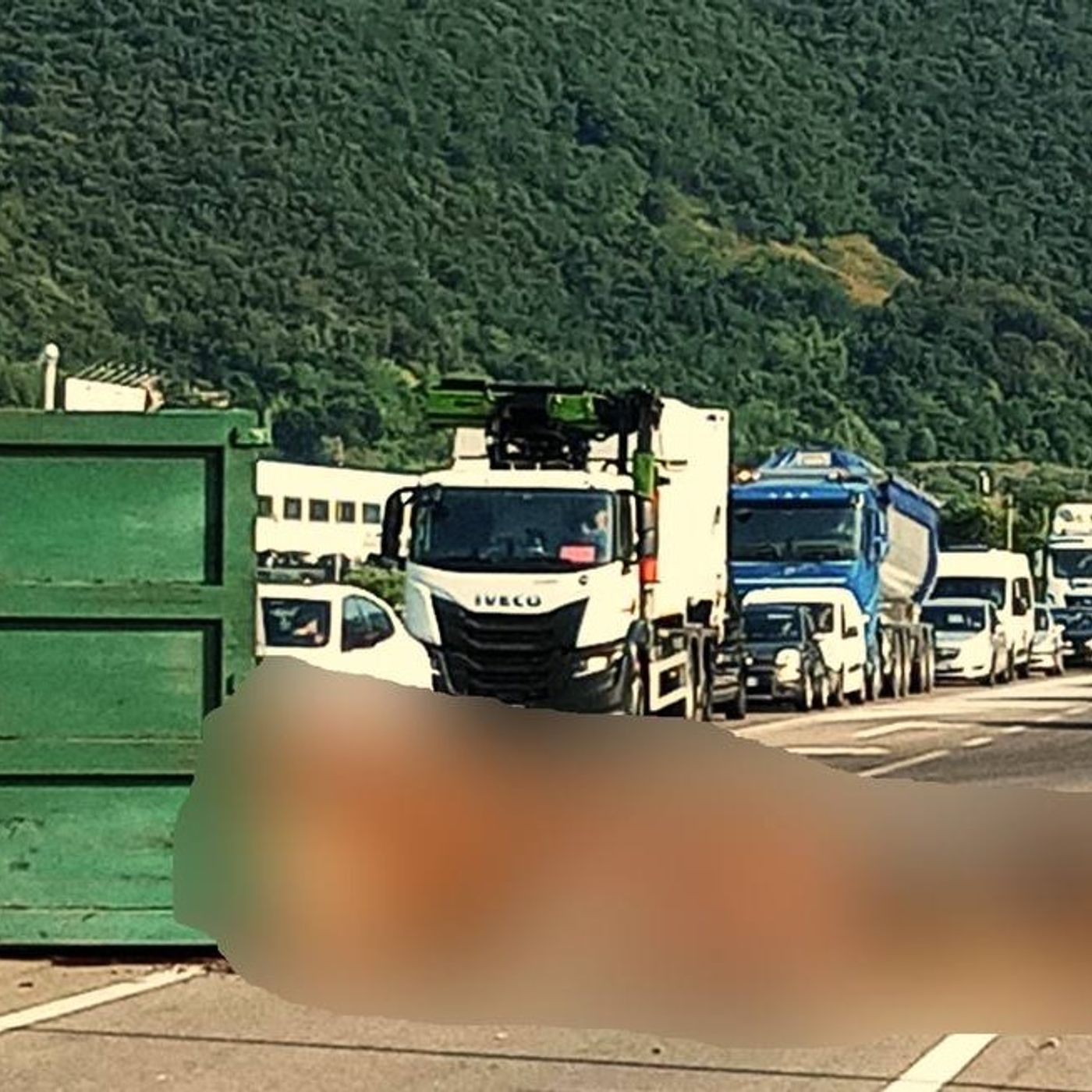 Container pieno di carcasse si ribalta sulla carreggiata: mattina di code (e di puzza) in SS47