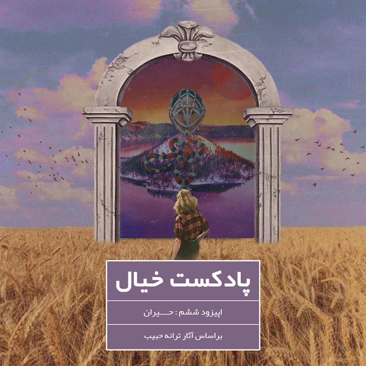 قسمت ششم، حیران
