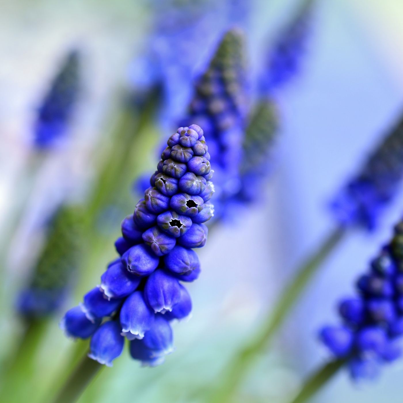 Segnali di primavera